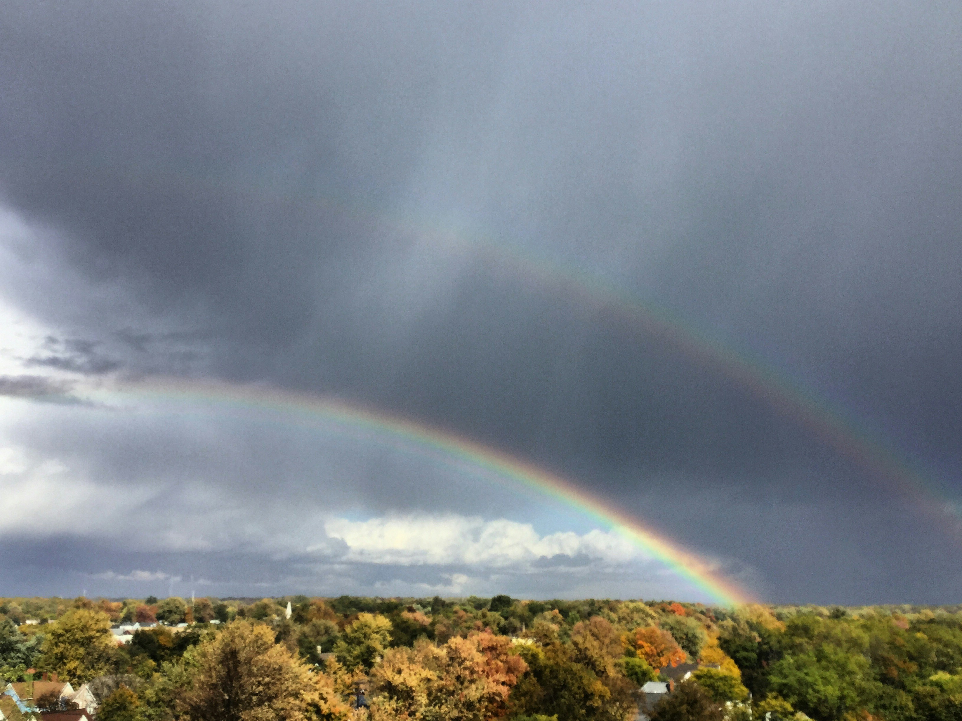 Free Unsplash photo from M W