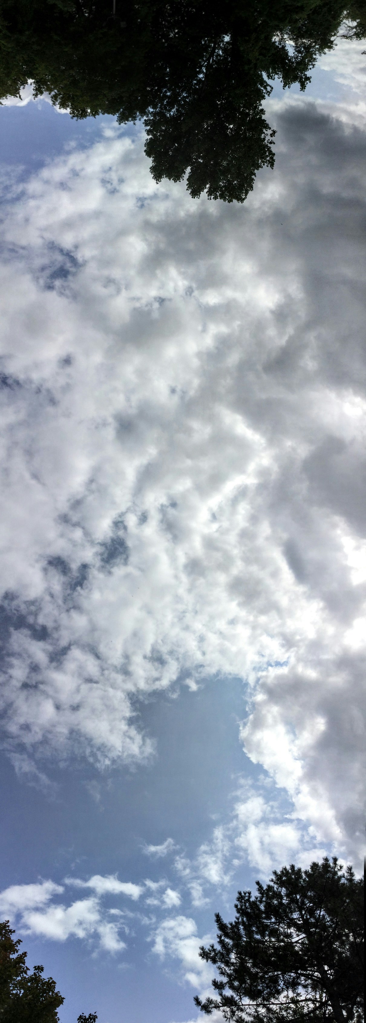 Free Unsplash photo from M W