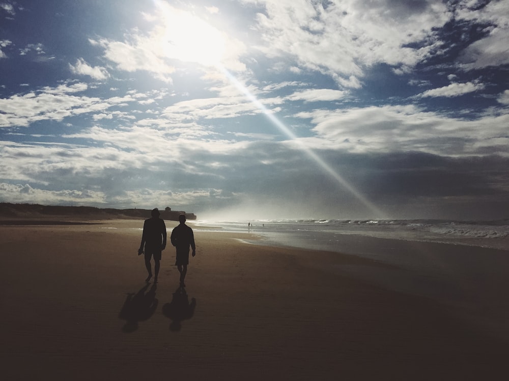 silhouette of people walking on shore