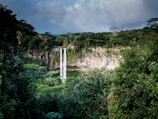 waterfall surrounded with trees