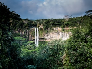 waterfall surrounded with trees