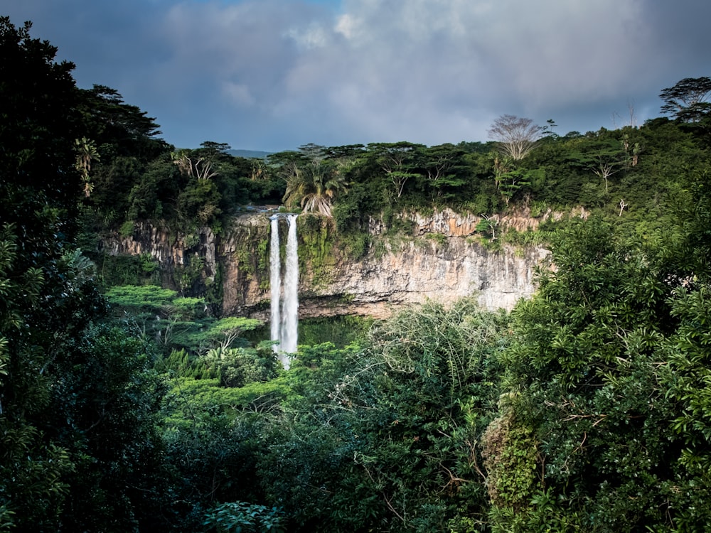 waterfall surrounded with trees