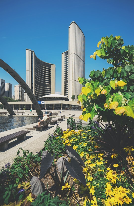 white wall paint near body of water in Toronto Sign Canada