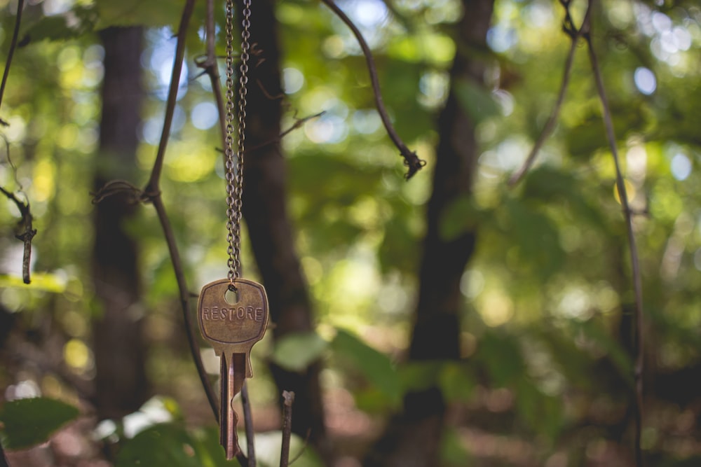 grauer Schlüssel, der am Baum hängt