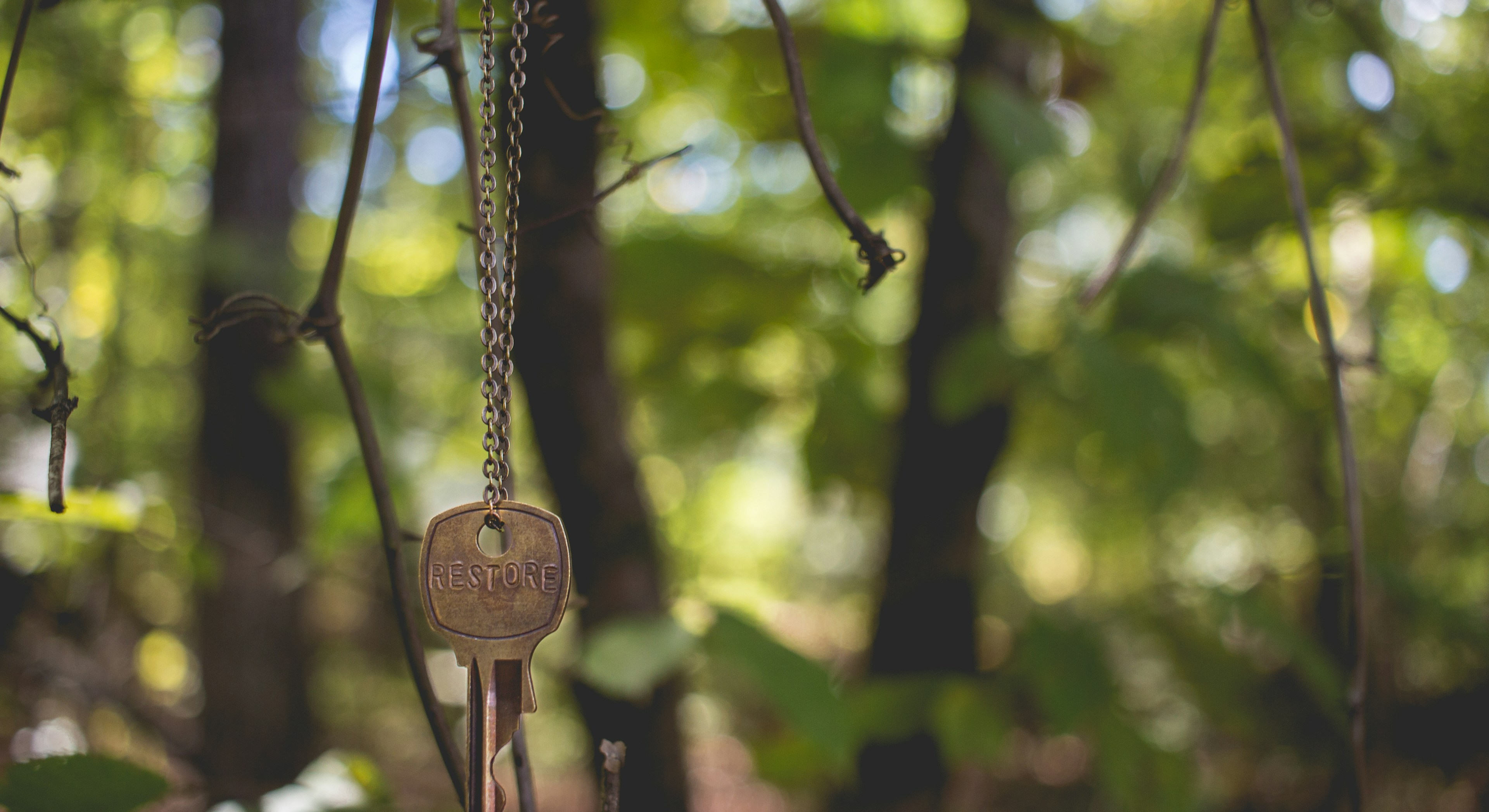 gray key hanging on tree