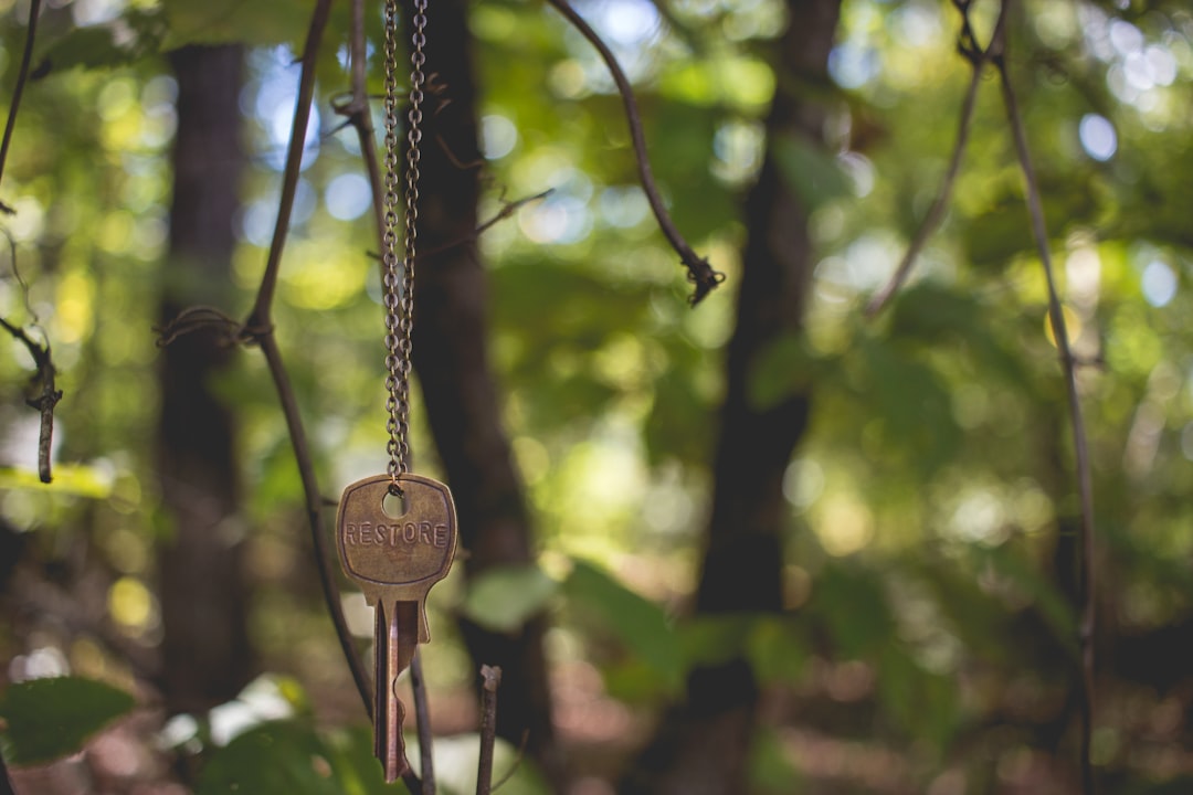 gray key hanging on tree