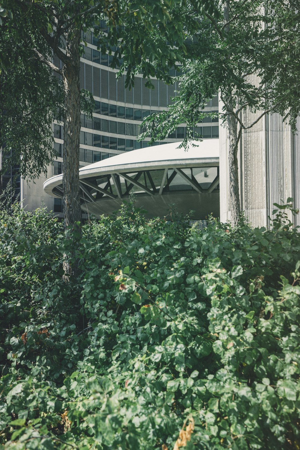 white concrete building near trees