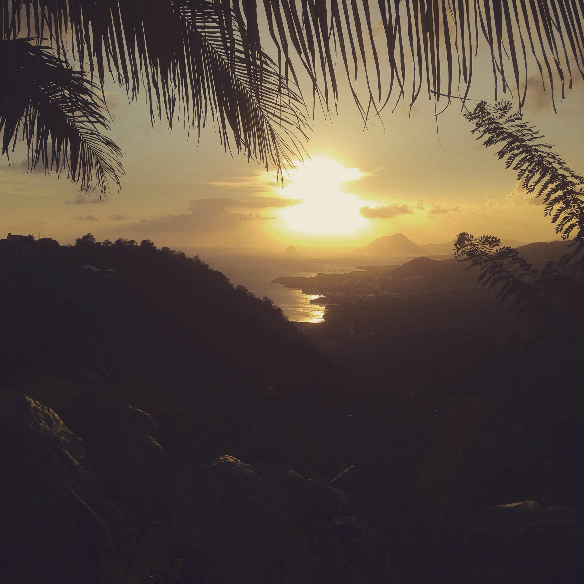 Free Unsplash photo from Maeva Céleste