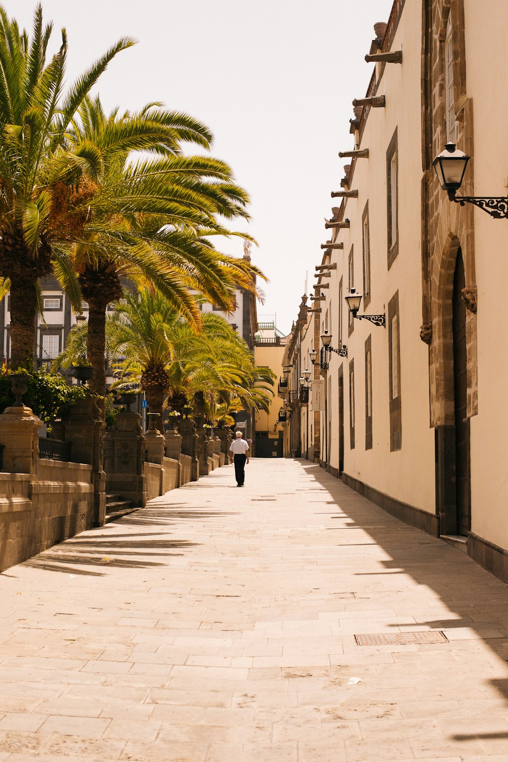A brick street in the Canary Islands lined with palm trees and beautiful building architecture