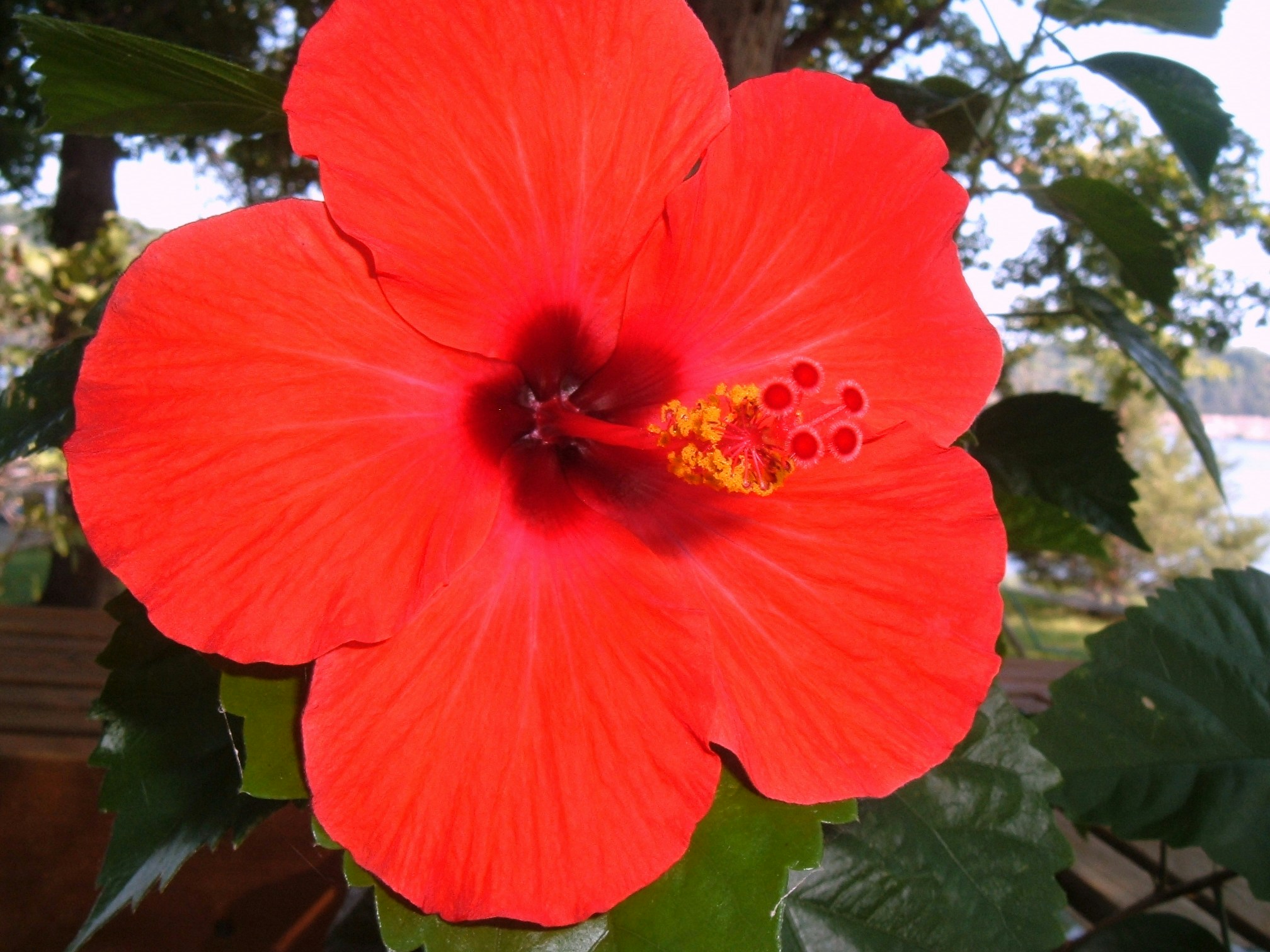 Free Unsplash photo from michael oswalt