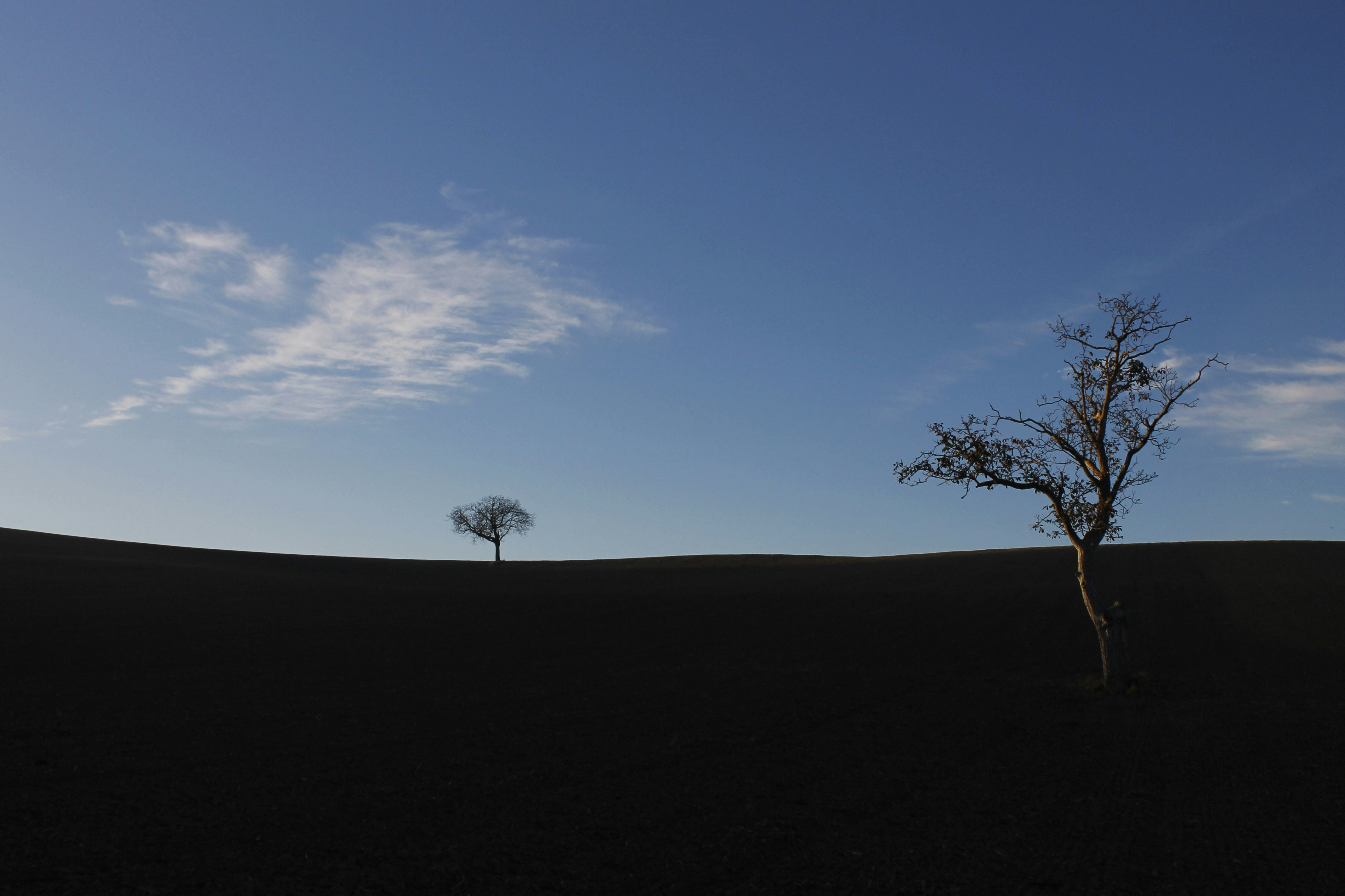 Free Unsplash photo from Claverie Pierre