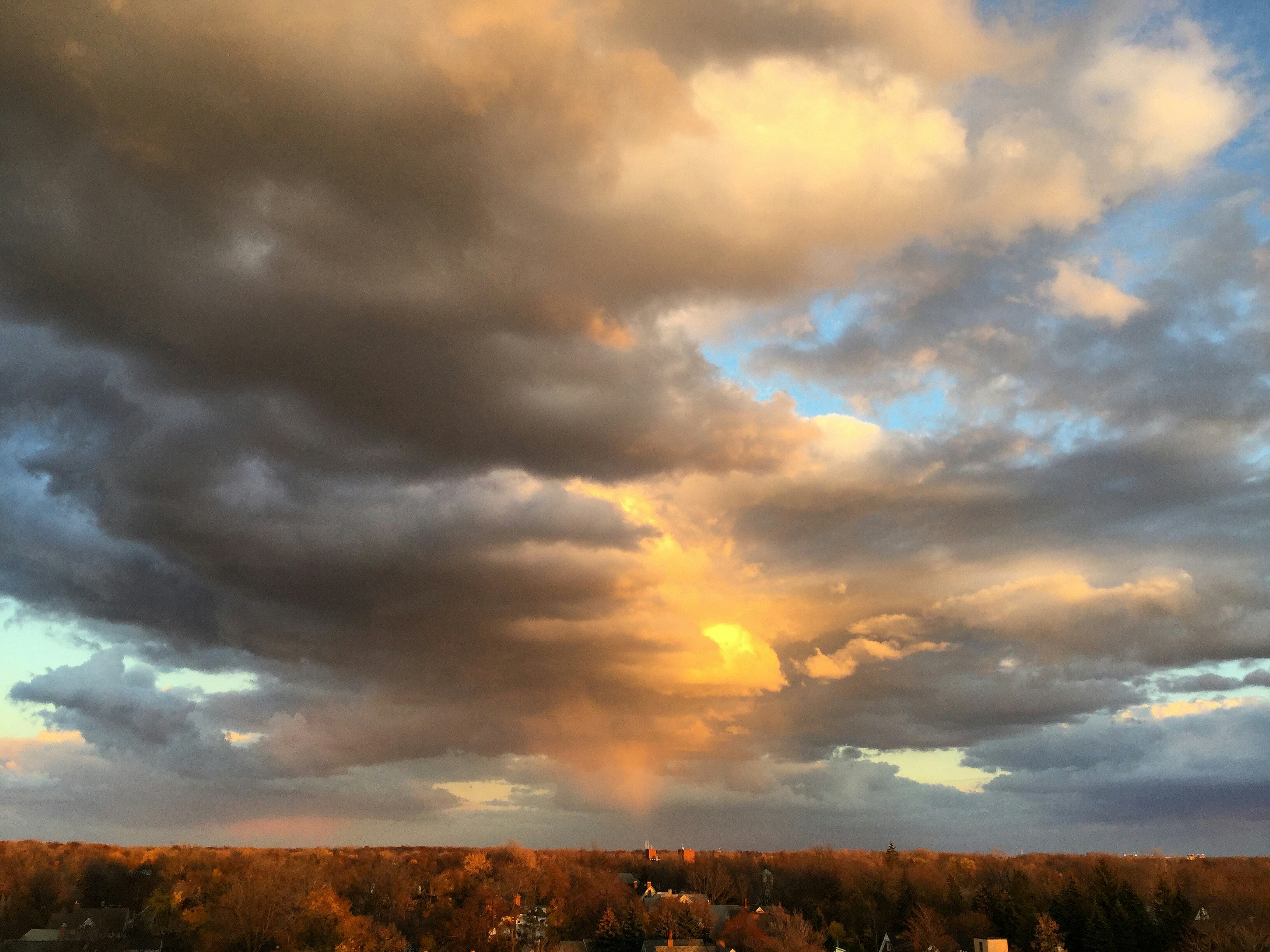 Free Unsplash photo from M W