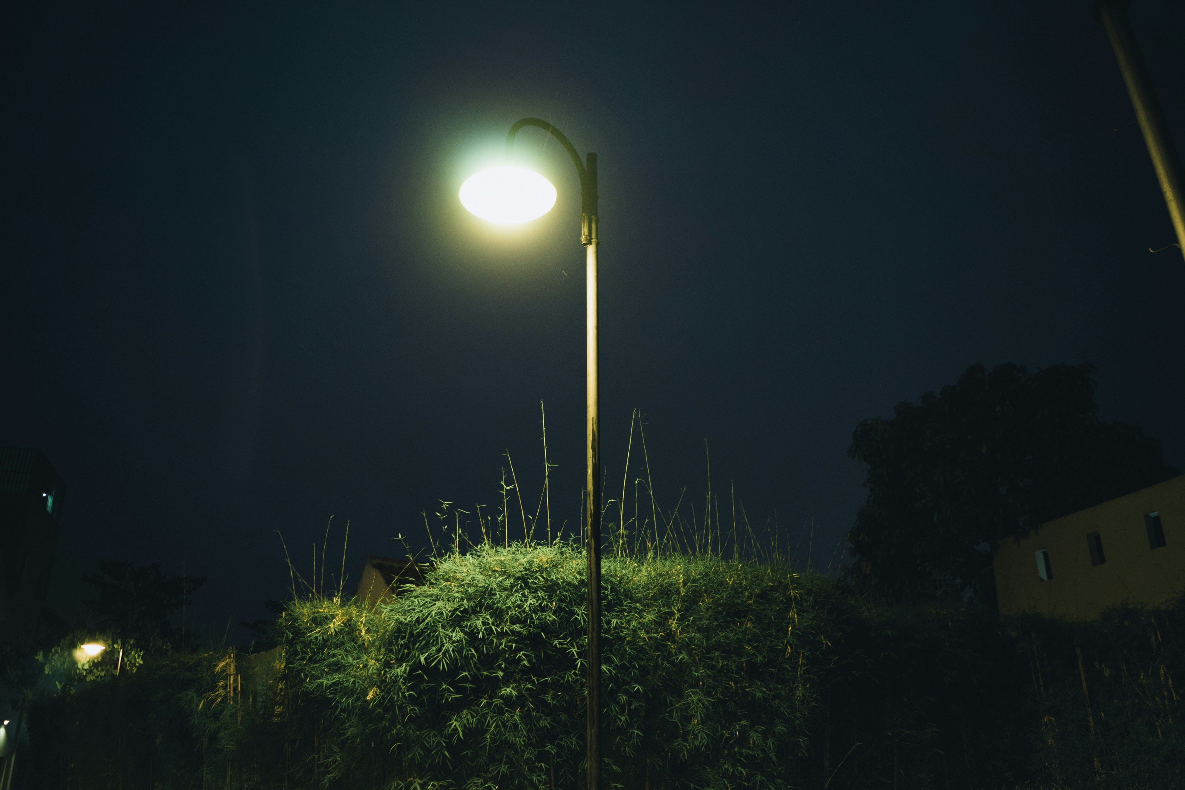 Free Unsplash photo from MARIO PUTRA