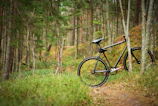 A rugged bike parked beside a lush trail leading into the dense greenery of Andaman’s forests.