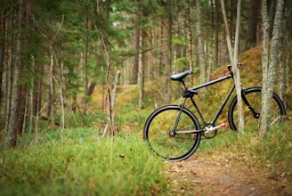 Bikes parked along the Carrilet Greenway, surrounded by nature.