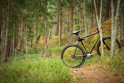 A rugged bike parked beside a lush trail leading into the dense greenery of Andaman’s forests.