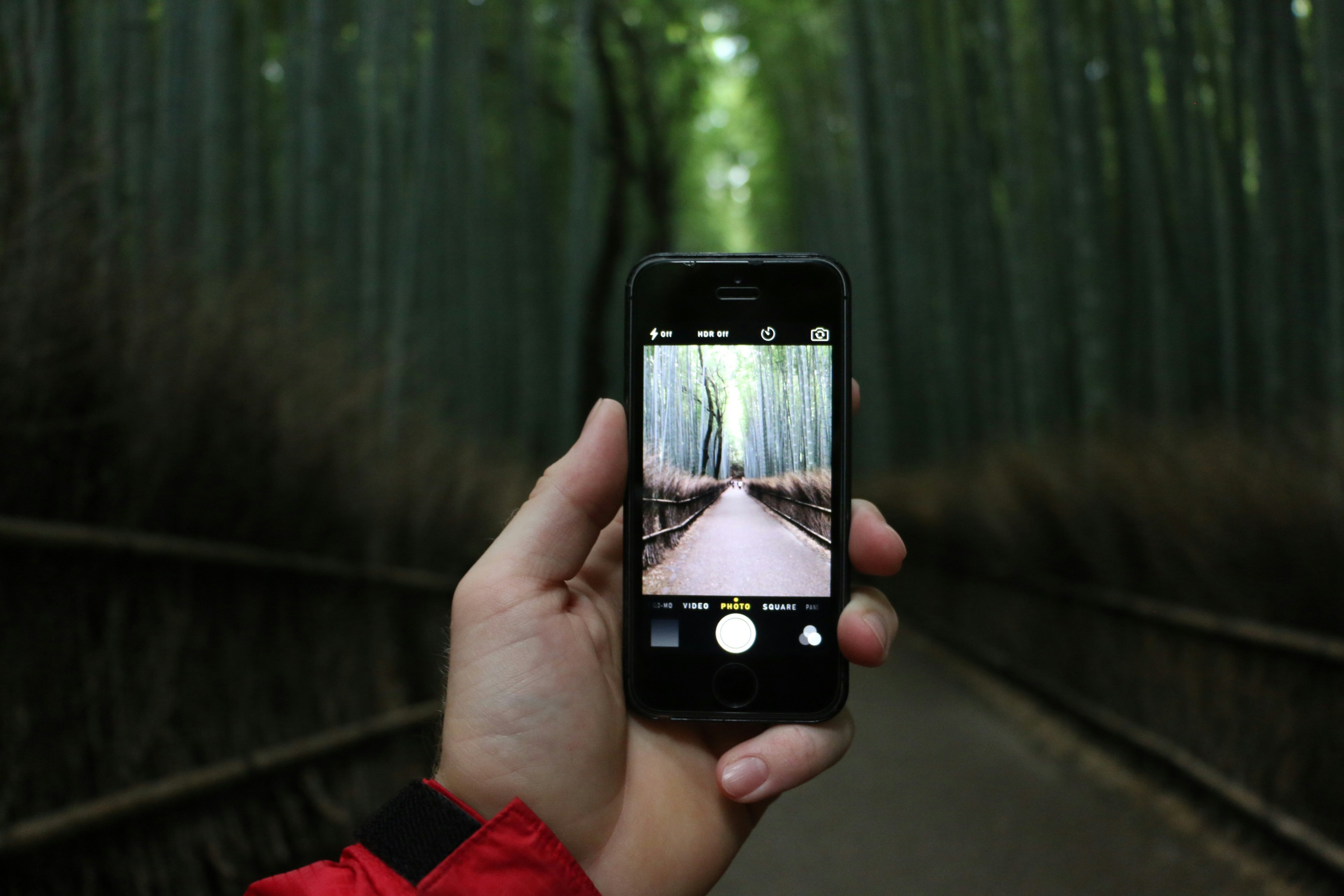 Free Unsplash photo from Matt Milton