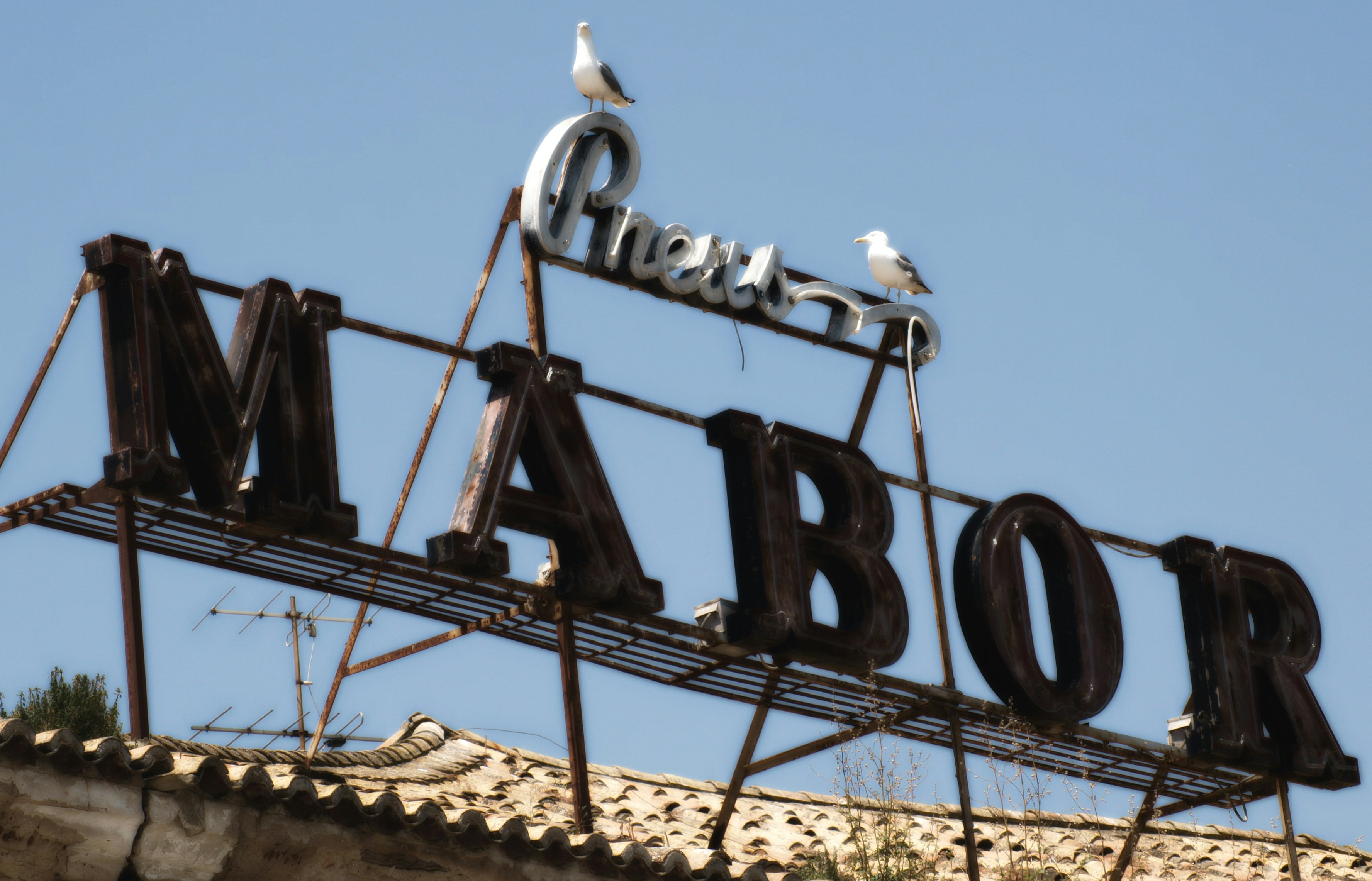 Free Unsplash photo from Maria João DeSantis