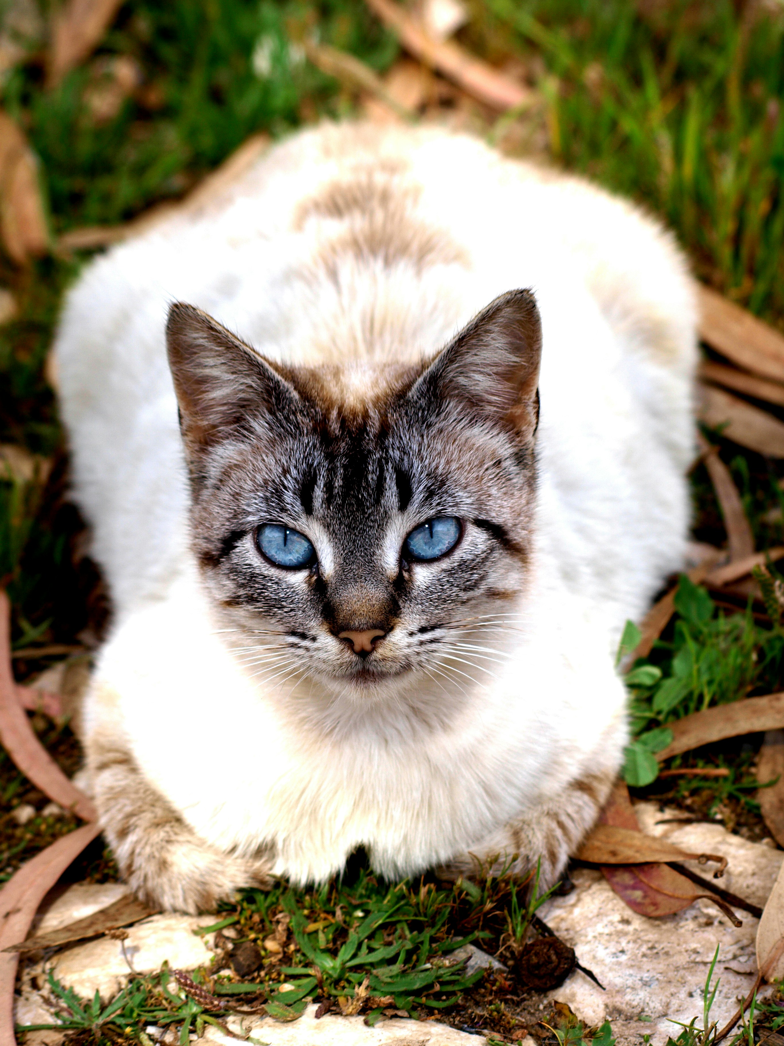 Free Unsplash photo from Maria João DeSantis