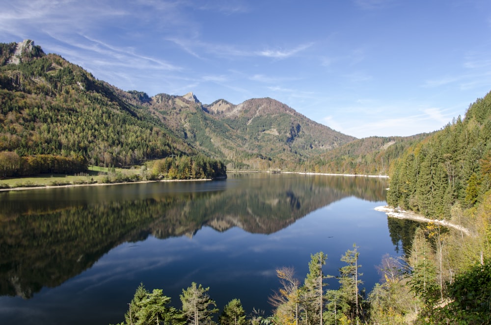 Klarer Fluss, umgeben von grünbelaubten Bäumen