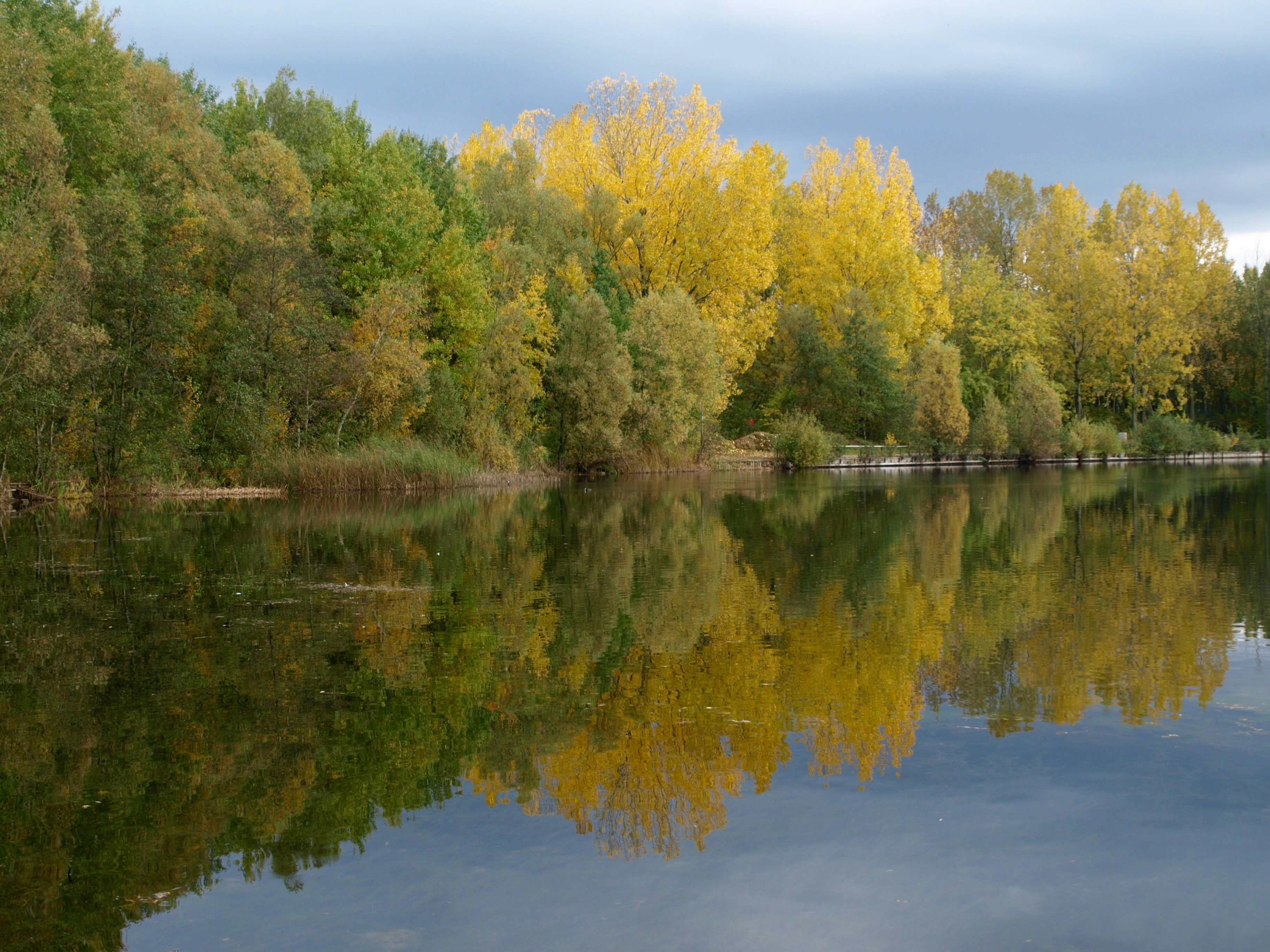 Free Unsplash photo from Jantine Dirksen