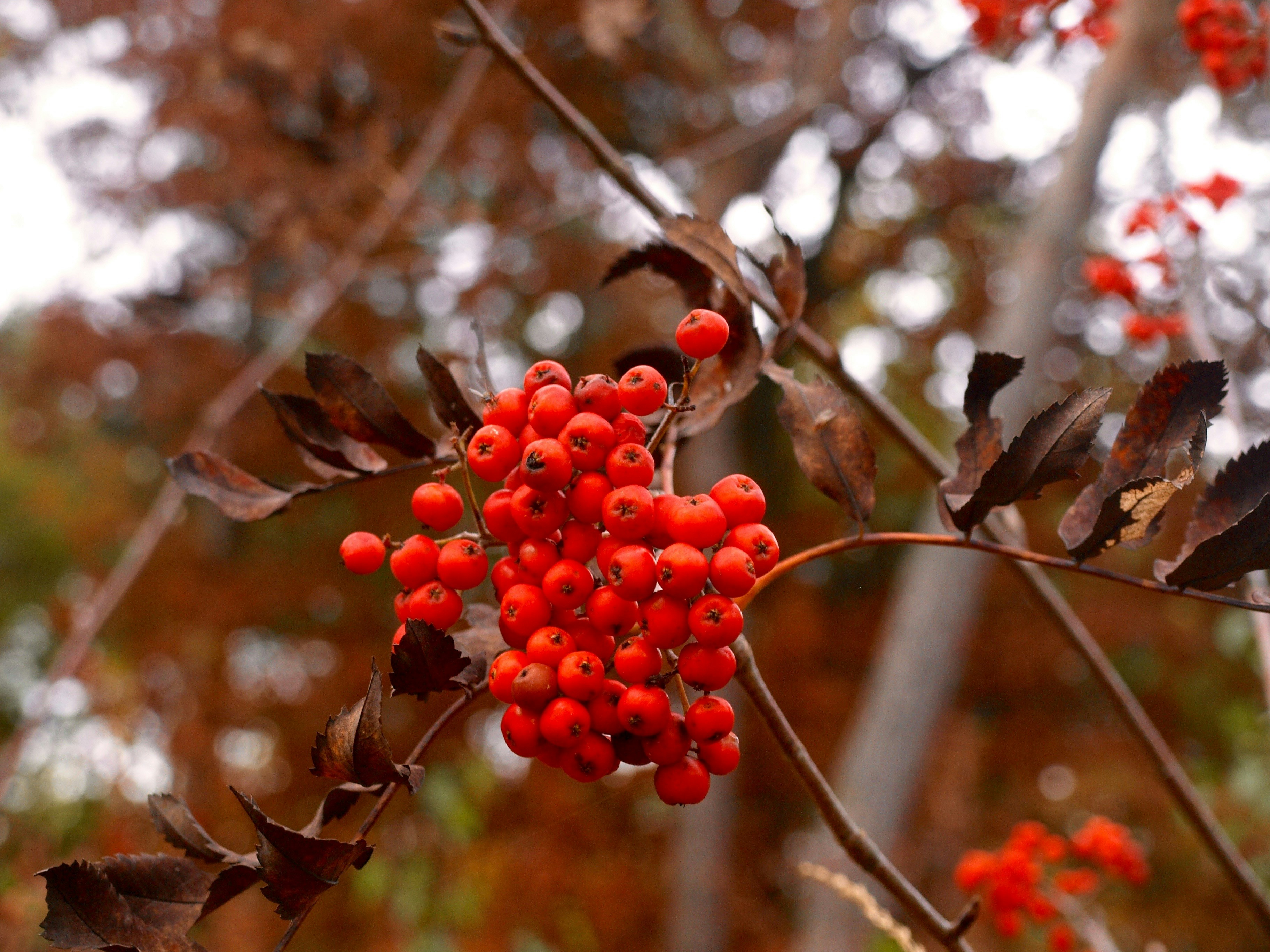 Free Unsplash photo from Jantine Dirksen