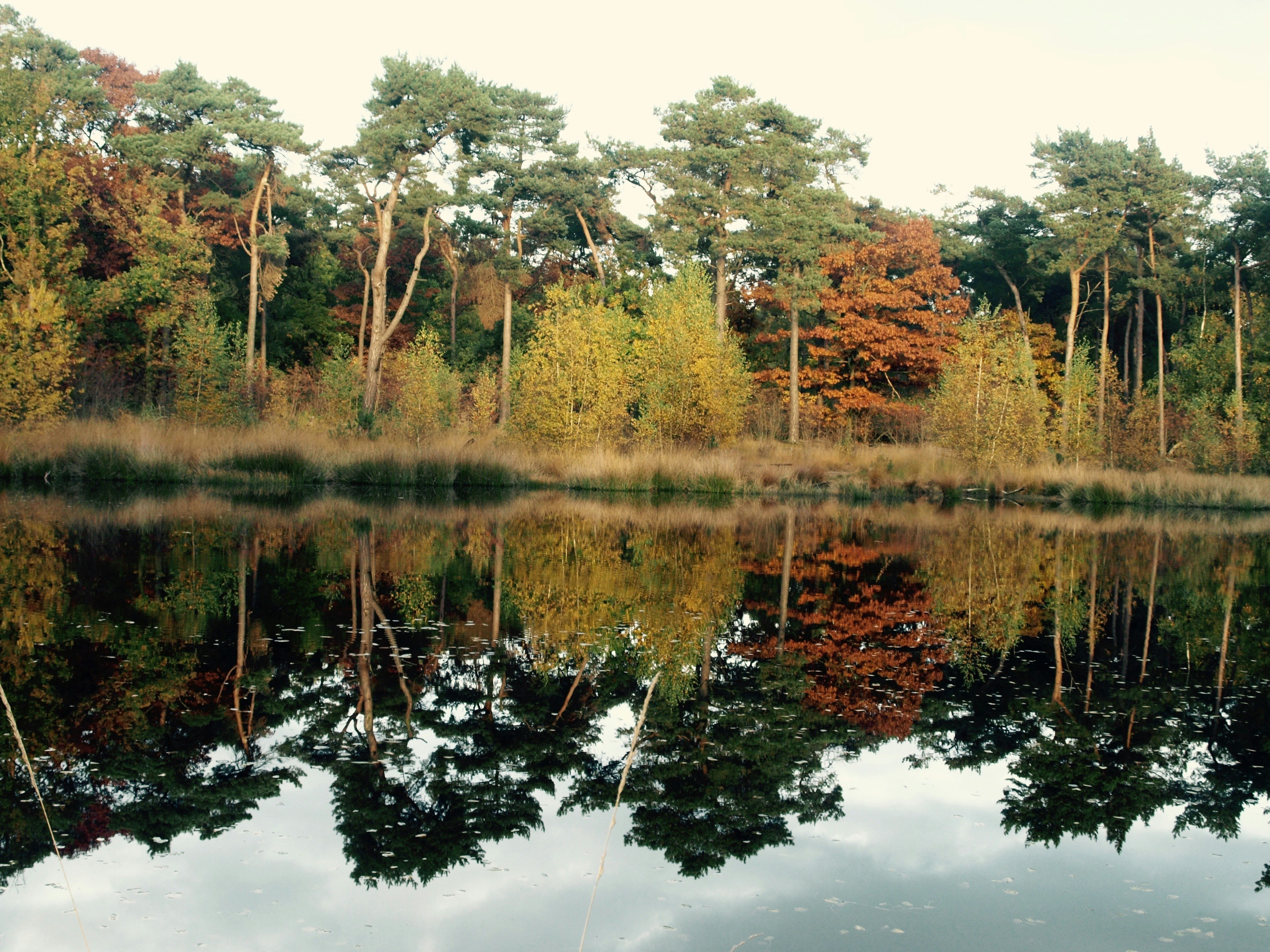 Free Unsplash photo from Jantine Dirksen