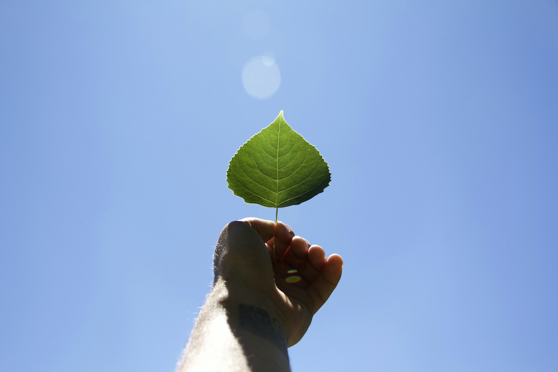 gray computer monitor