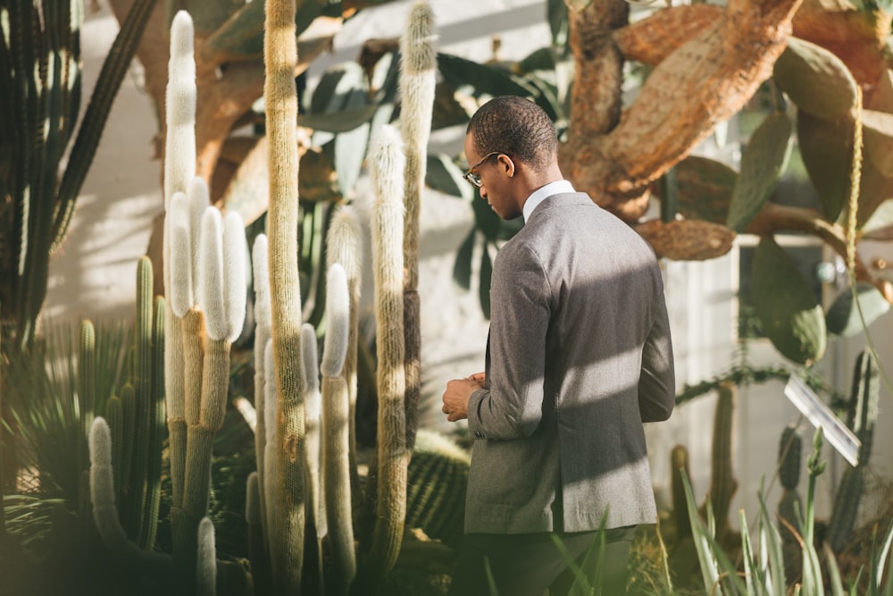 Mann geht neben Kaktuspflanze