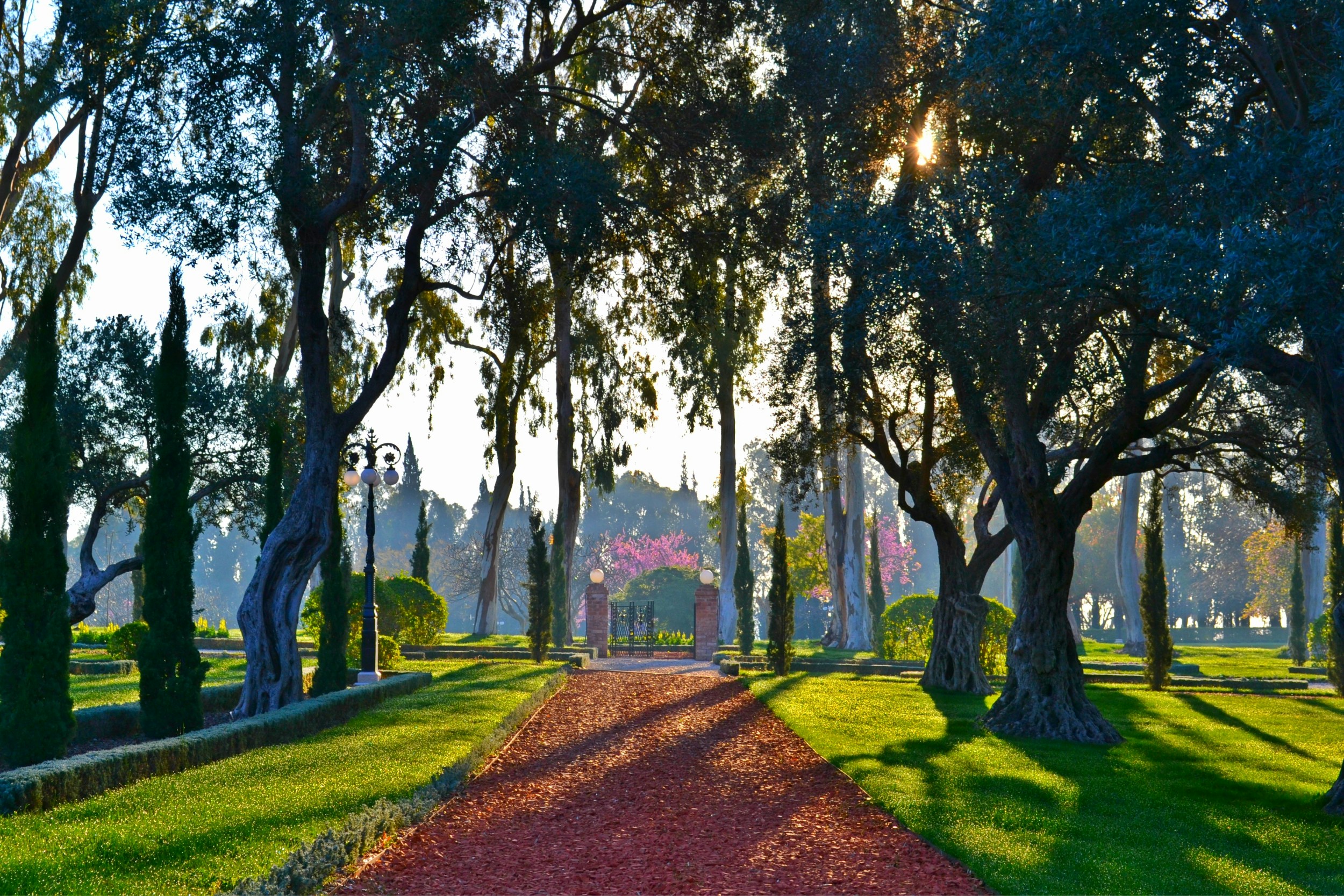 Free Unsplash photo from Mona Reyhani