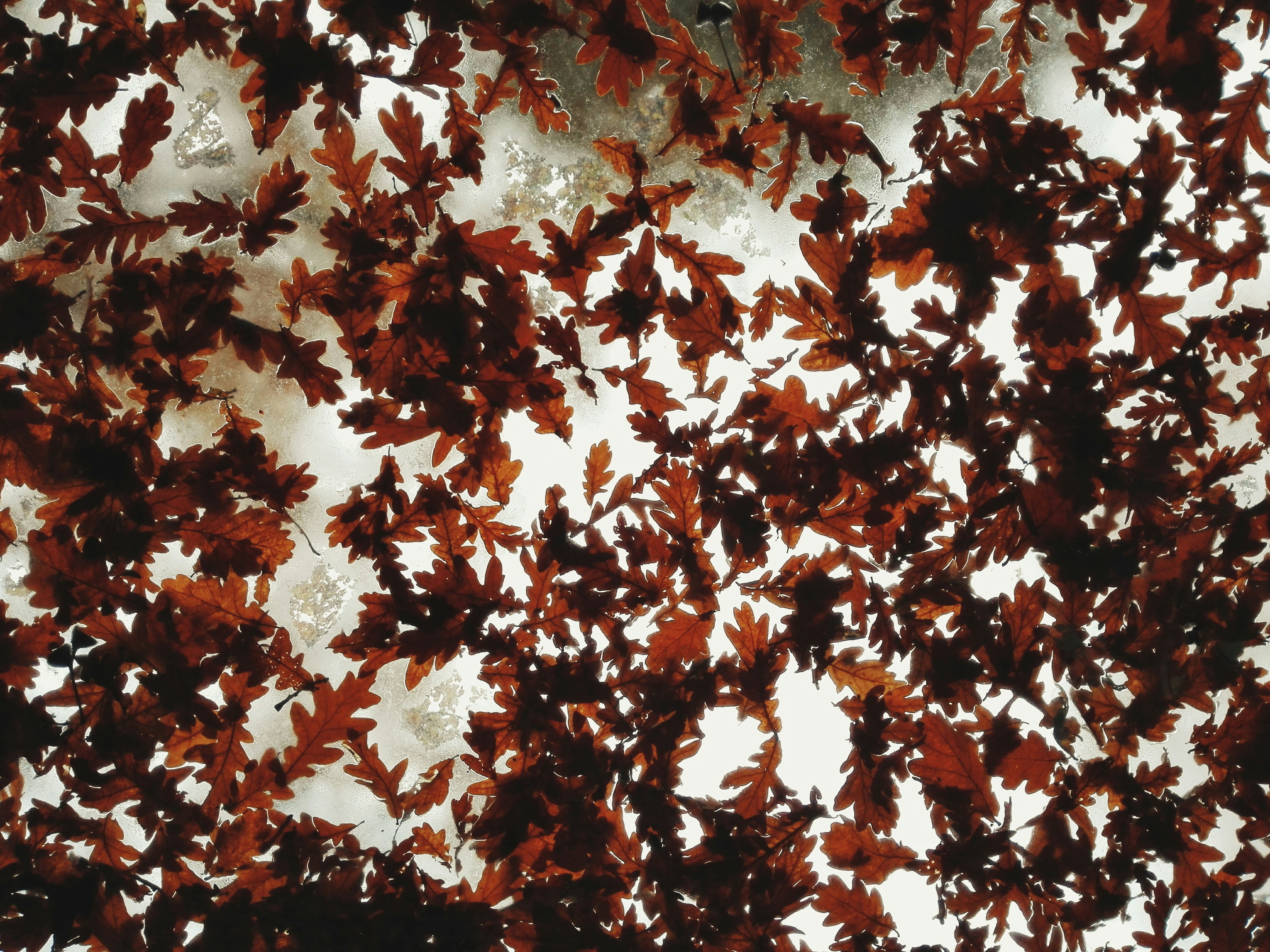 Photo By Rosan Harmens