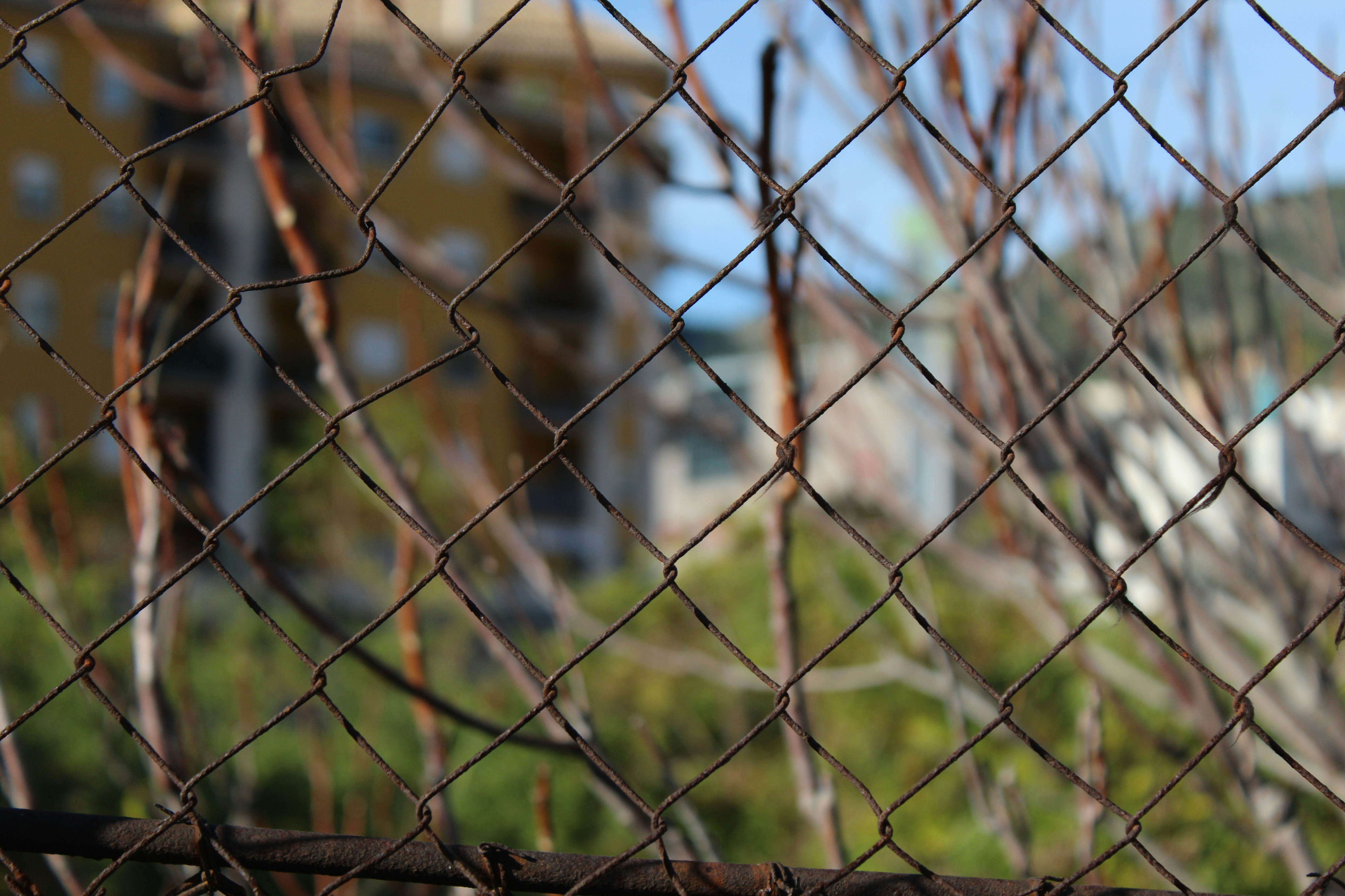 Free Unsplash photo from Erika Font