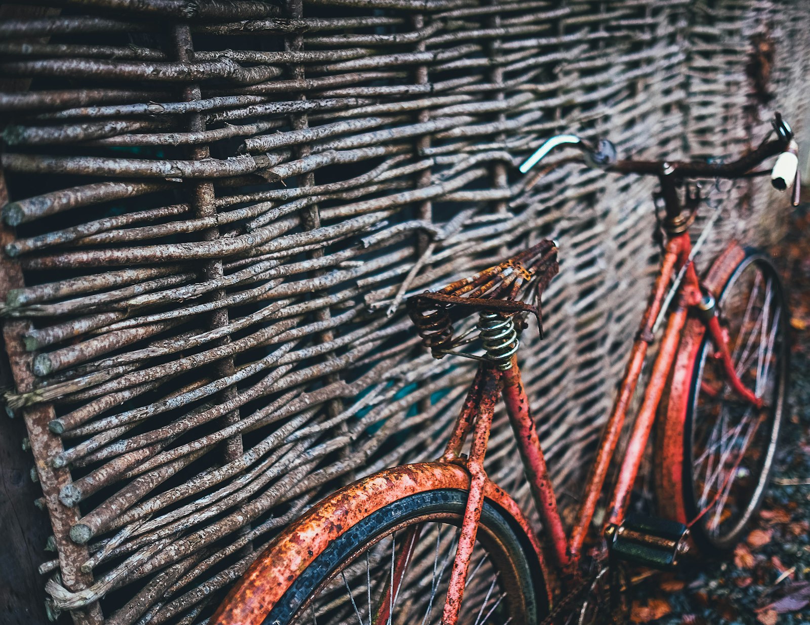 Fujifilm X-T1 + Fujifilm XF 23mm F1.4 R sample photo. Red bicycle parked beside photography