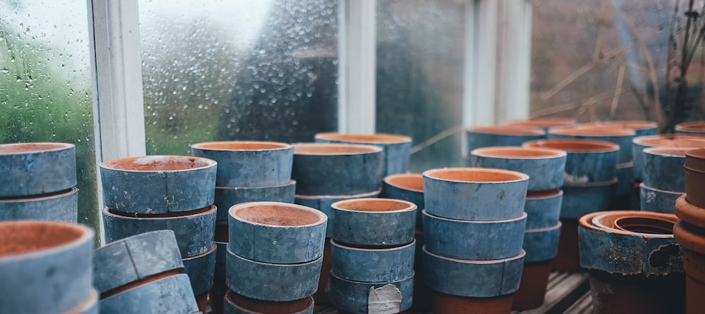 blue-and-brown plant pot lot