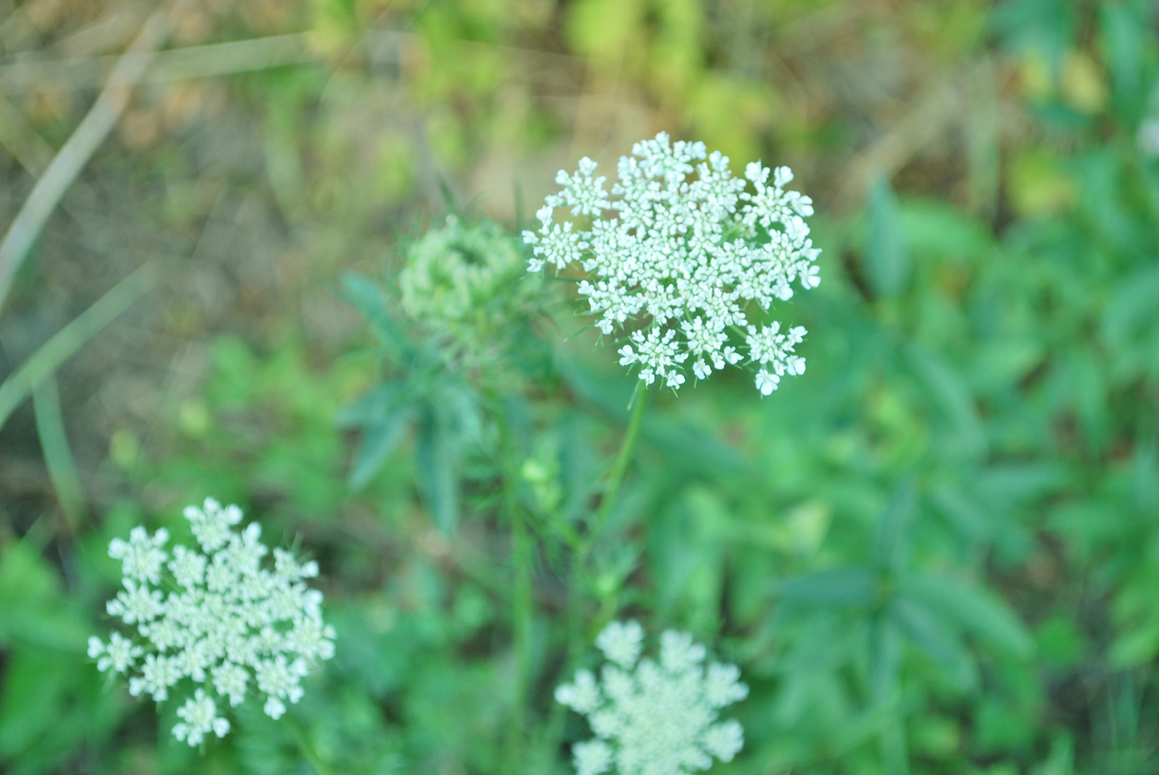 Free Unsplash photo from Magdalena