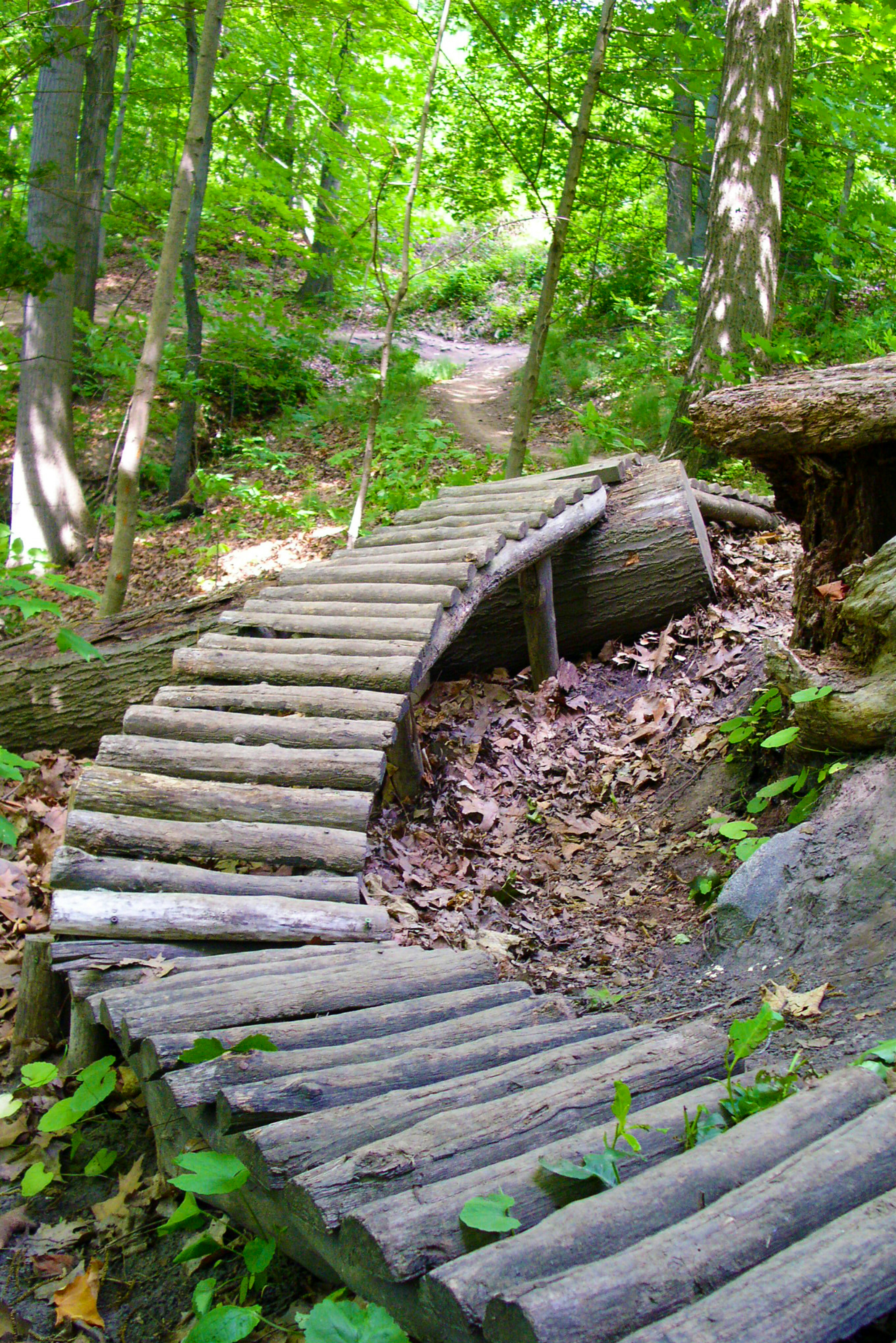 Free Unsplash photo from Kelvin Landolt