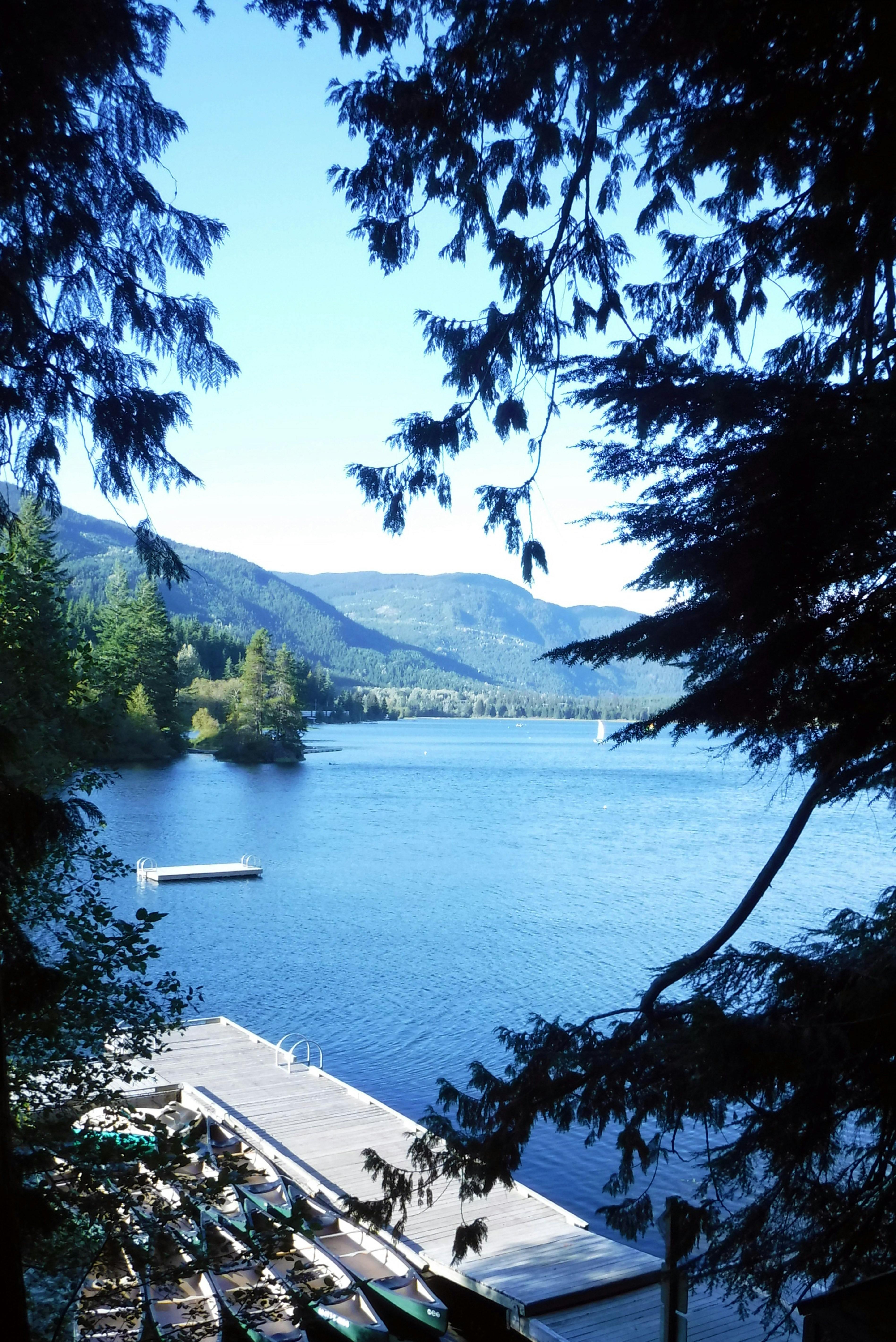 Free Unsplash photo from Kelvin Landolt