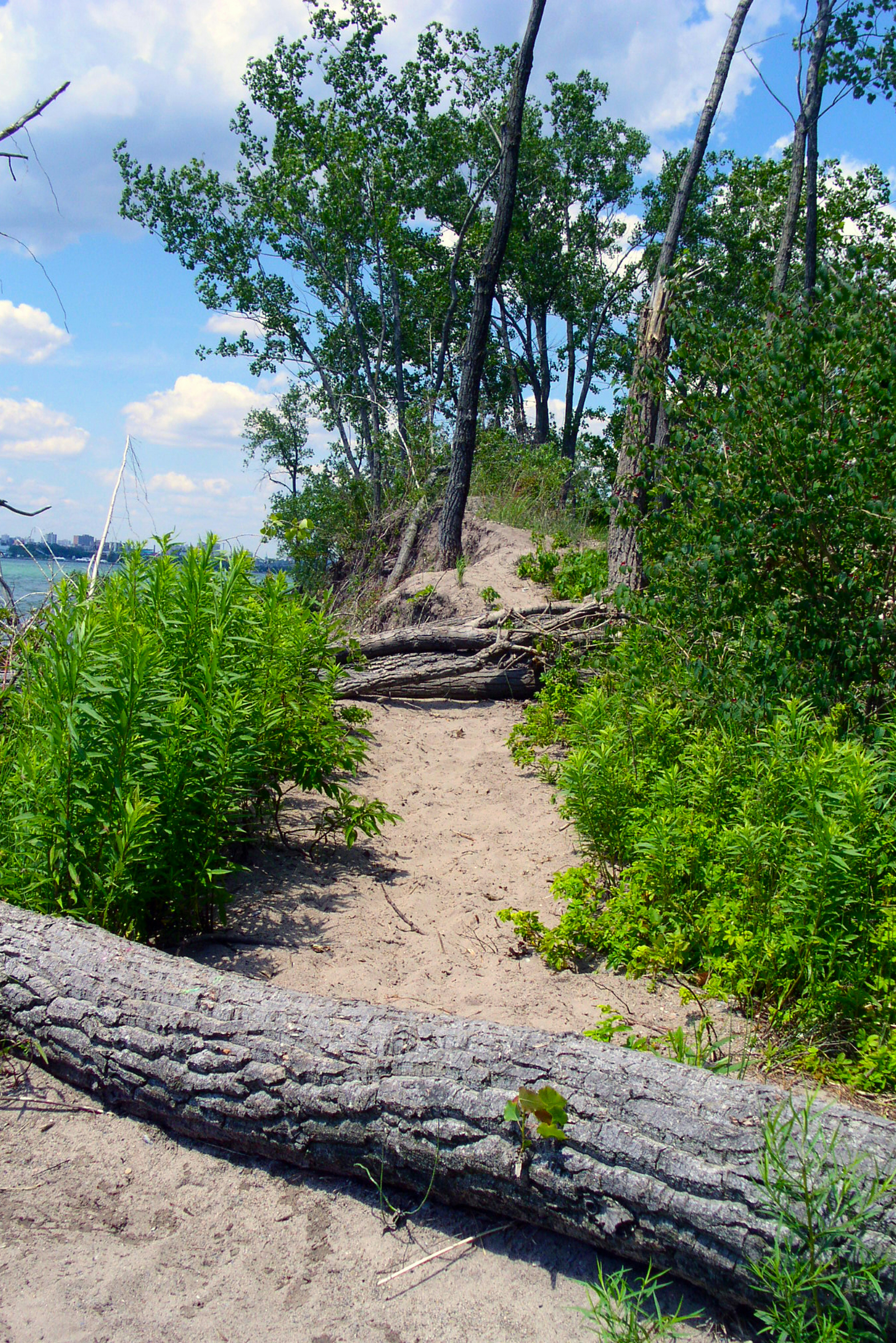 Free Unsplash photo from Kelvin Landolt