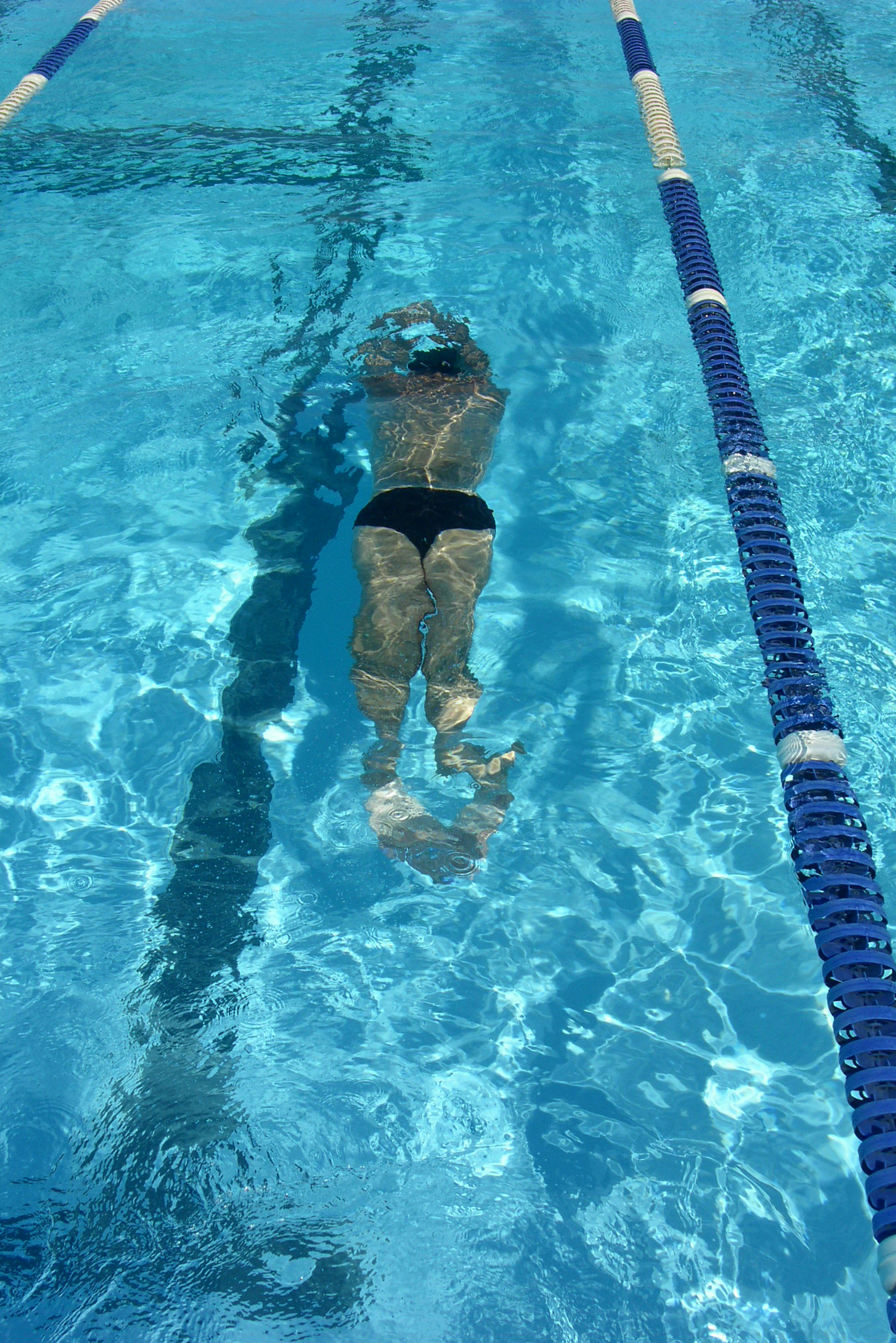 Free Unsplash photo from Kelvin Landolt