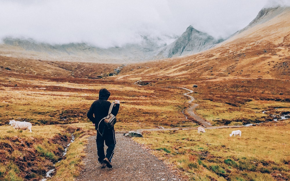 man walking on road towards mountain