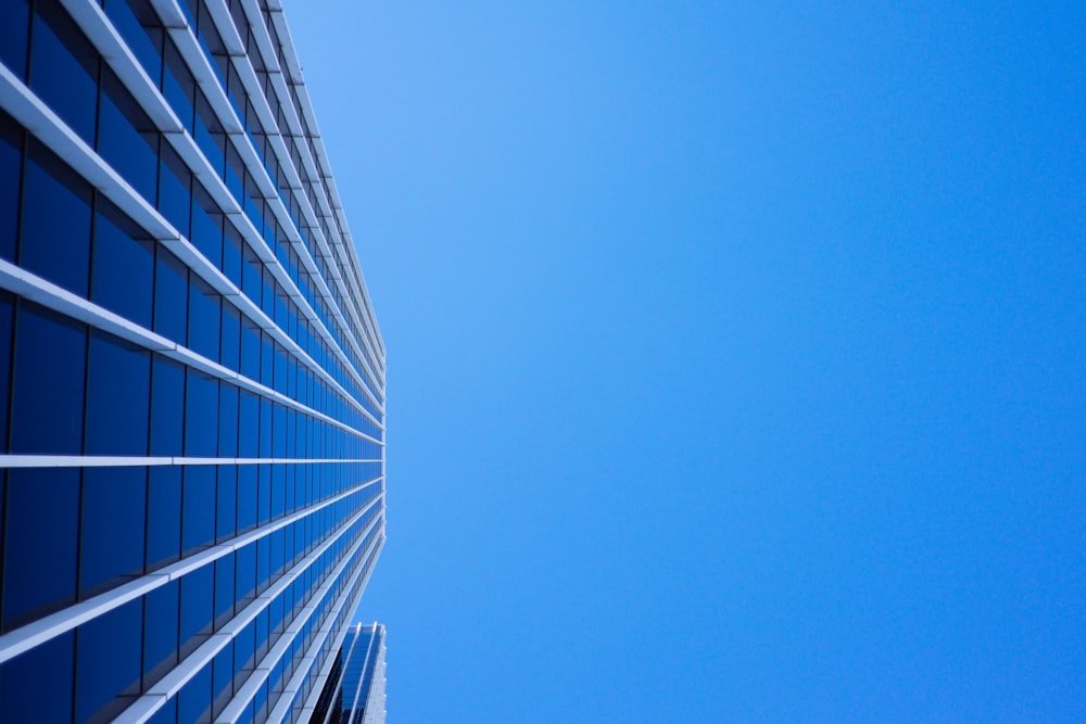 fotografia de baixo ângulo do edifício de vidro da cortina sob o céu azul