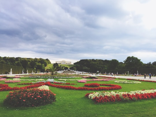 photo of Schönbrunn Garden Natural landscape near Austrian National Library