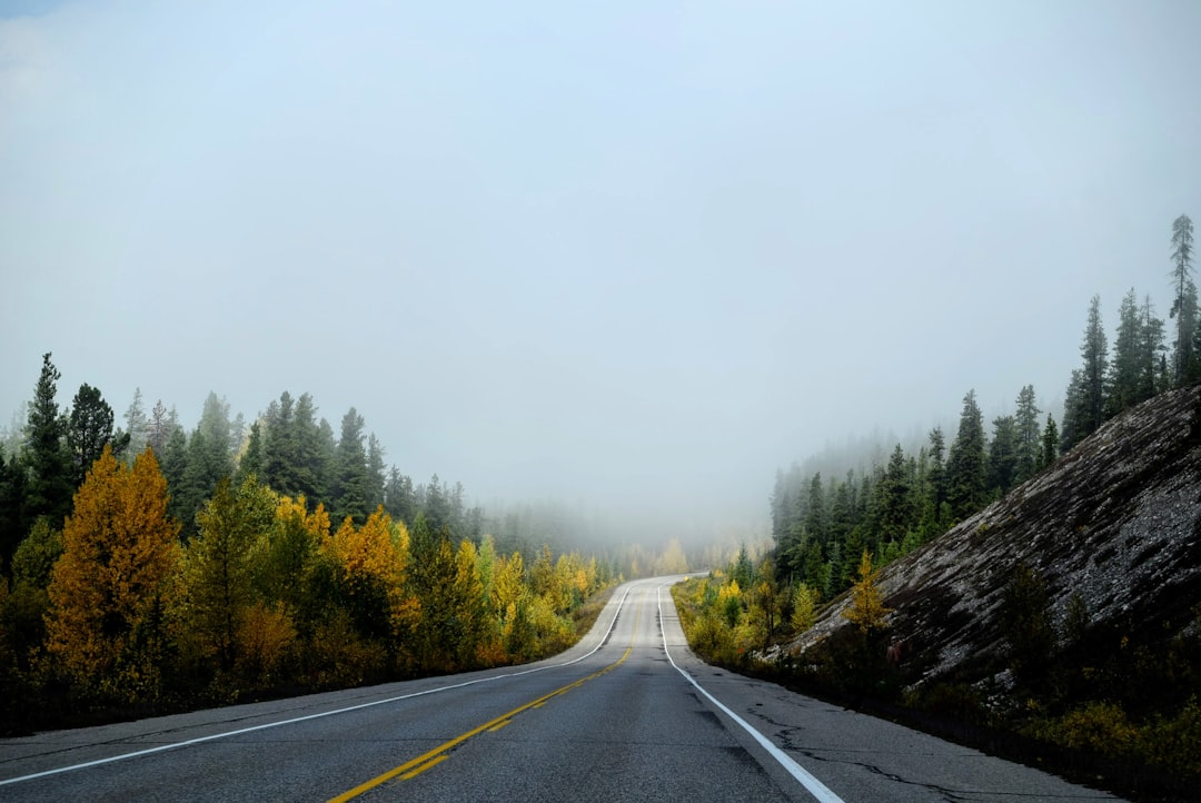 Road trip photo spot Jasper National Park Icefields Parkway