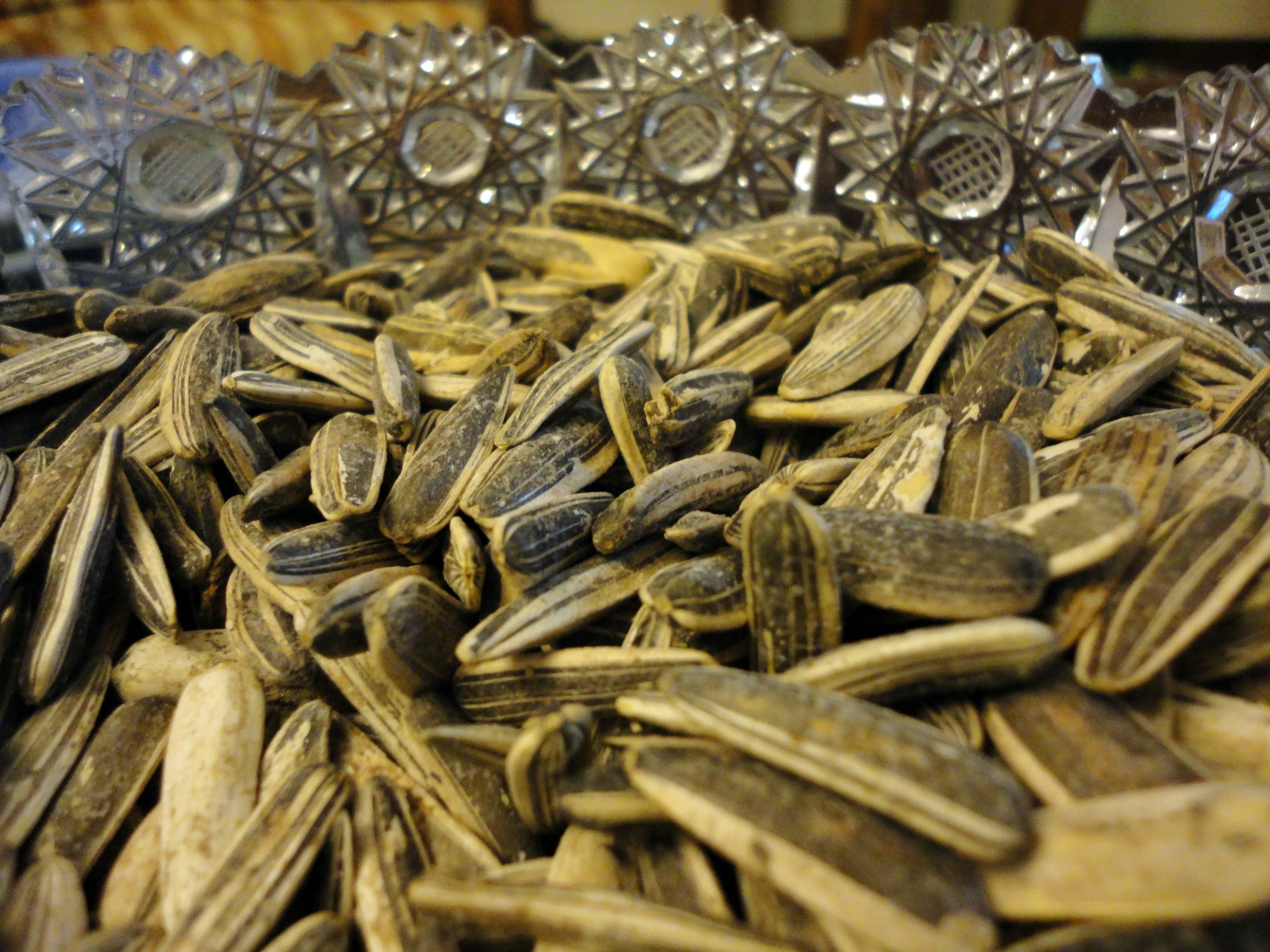 Free Unsplash photo from Kian MJ