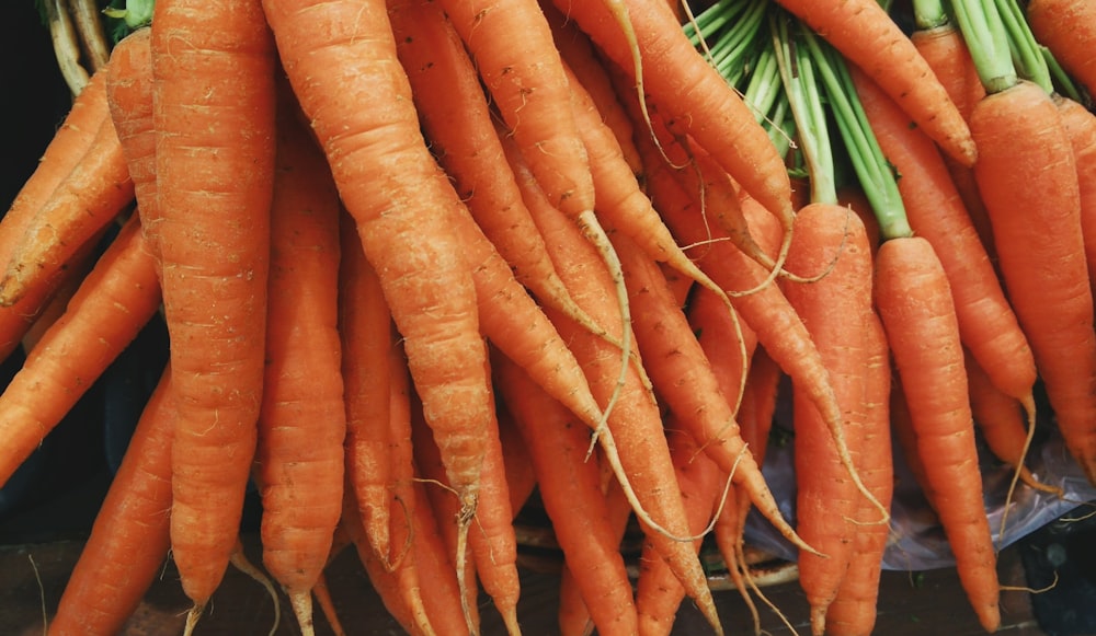 Fresh organic carrots with green tops