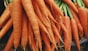 Rainbow Carrots