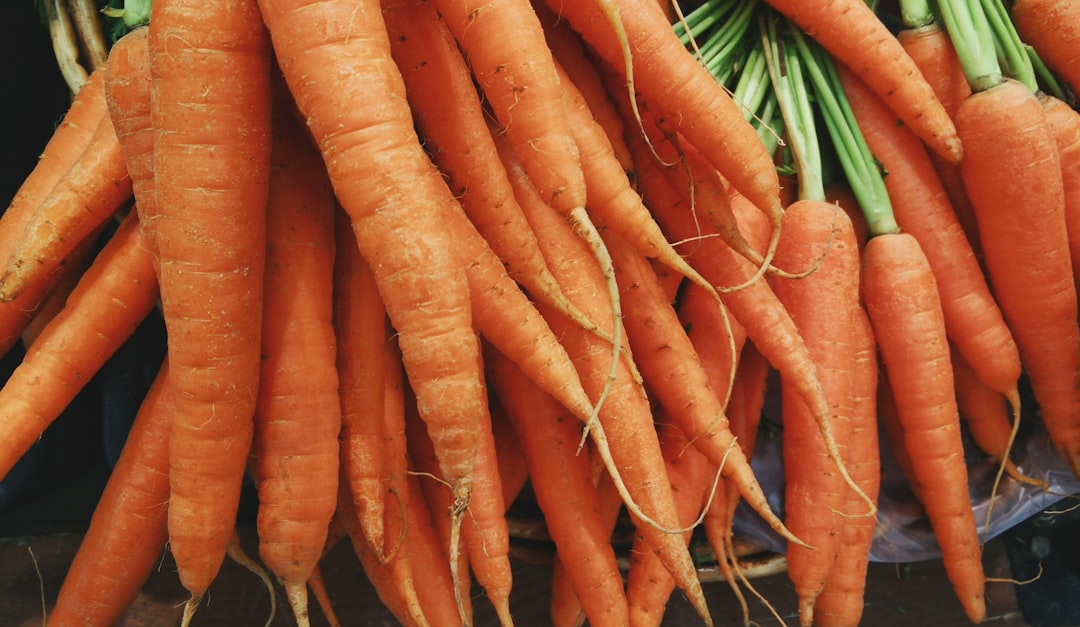 closeup photo of bunch of orange carrots, Organic Carrots