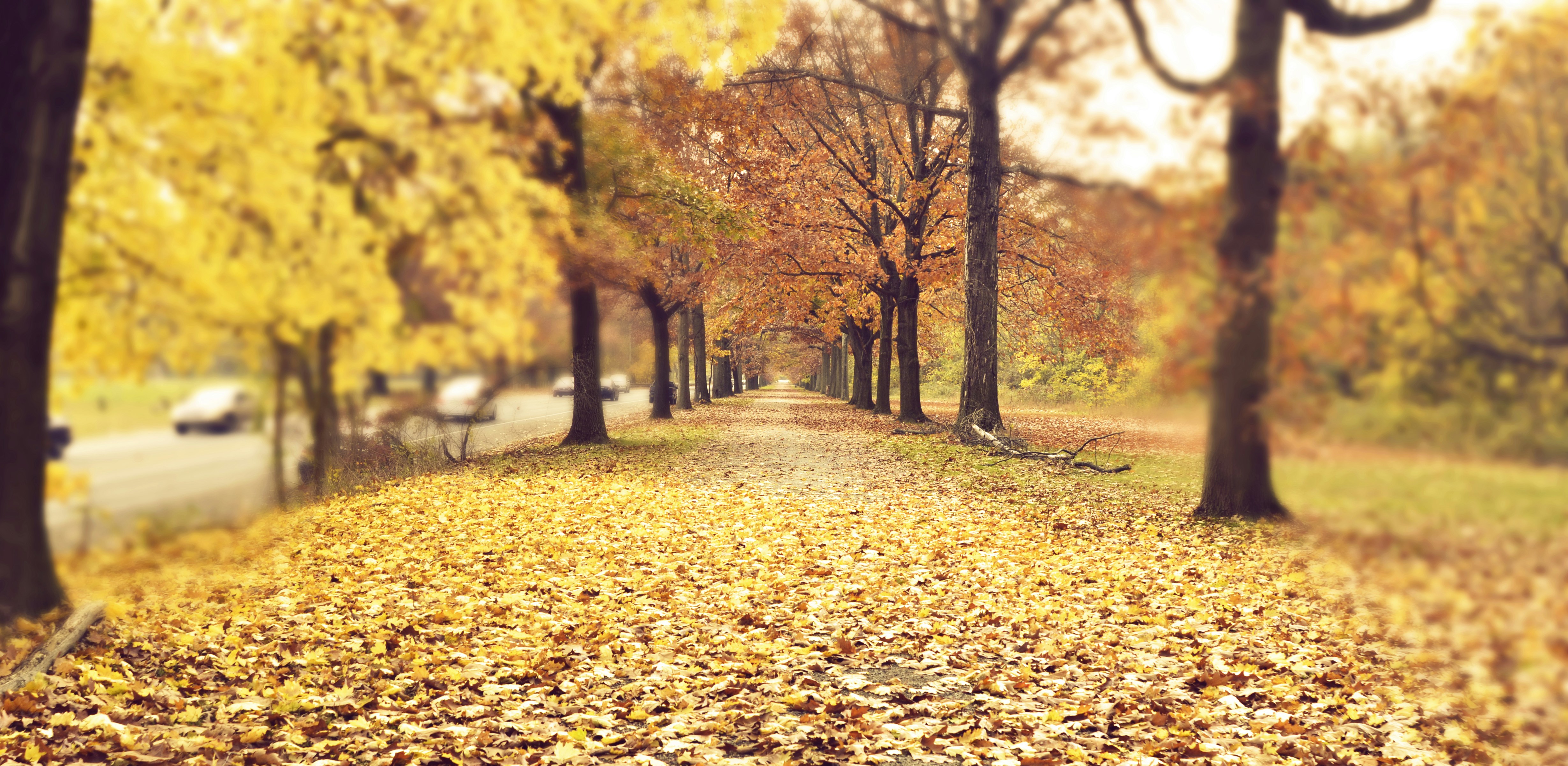 Free Unsplash photo from Nick Rich