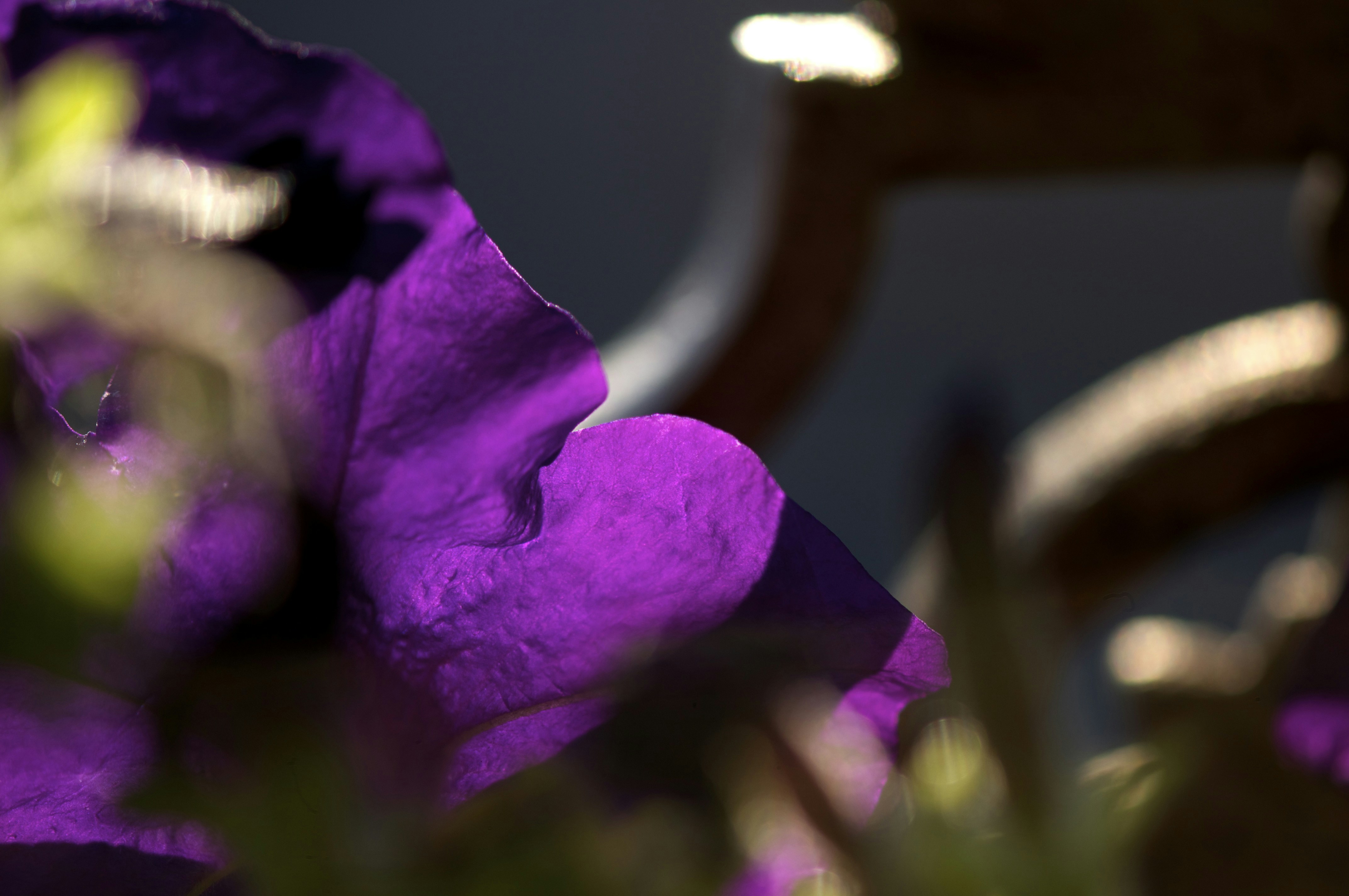 Free Unsplash photo from anne-marie robert