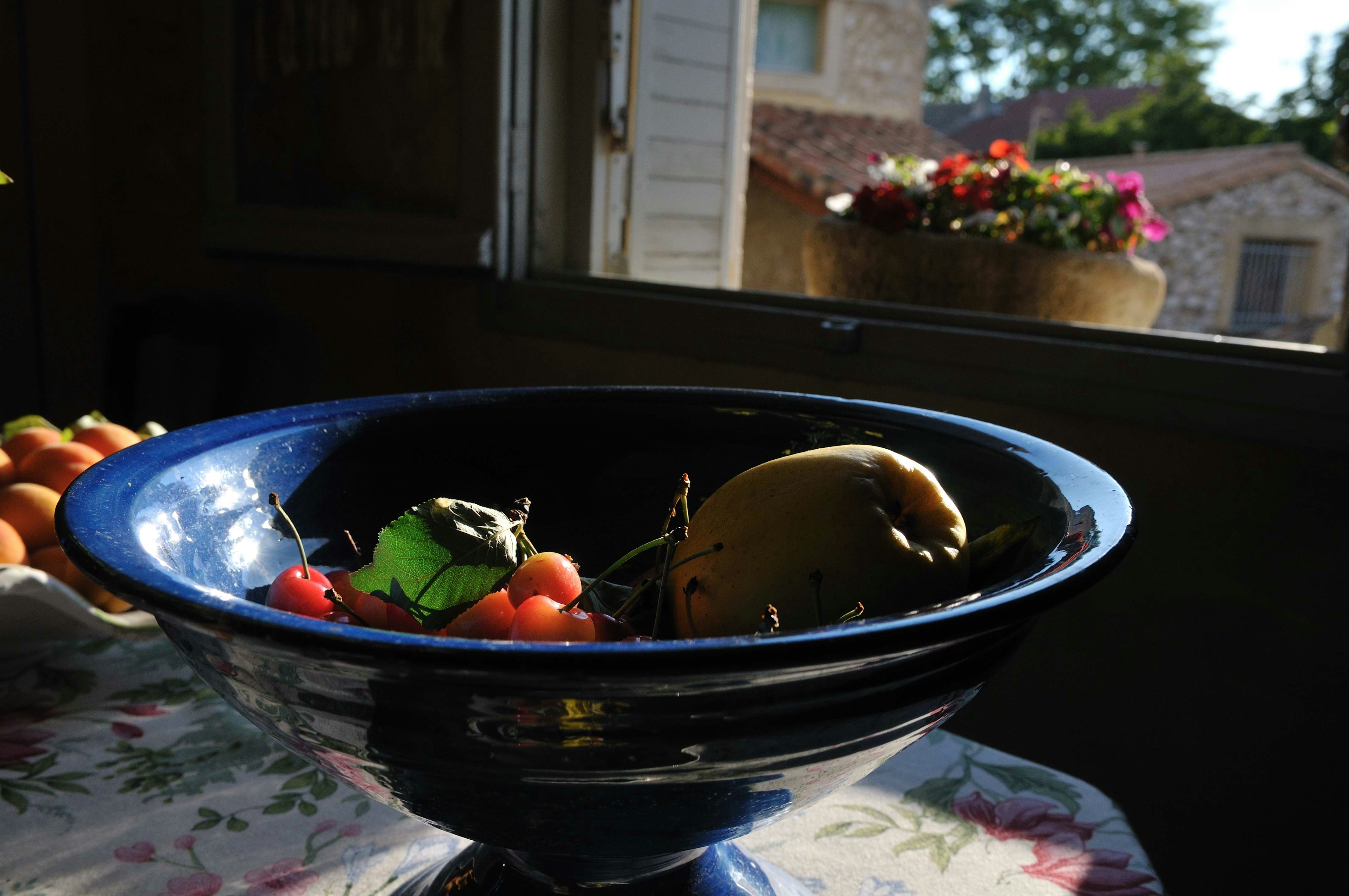 Free Unsplash photo from anne-marie robert